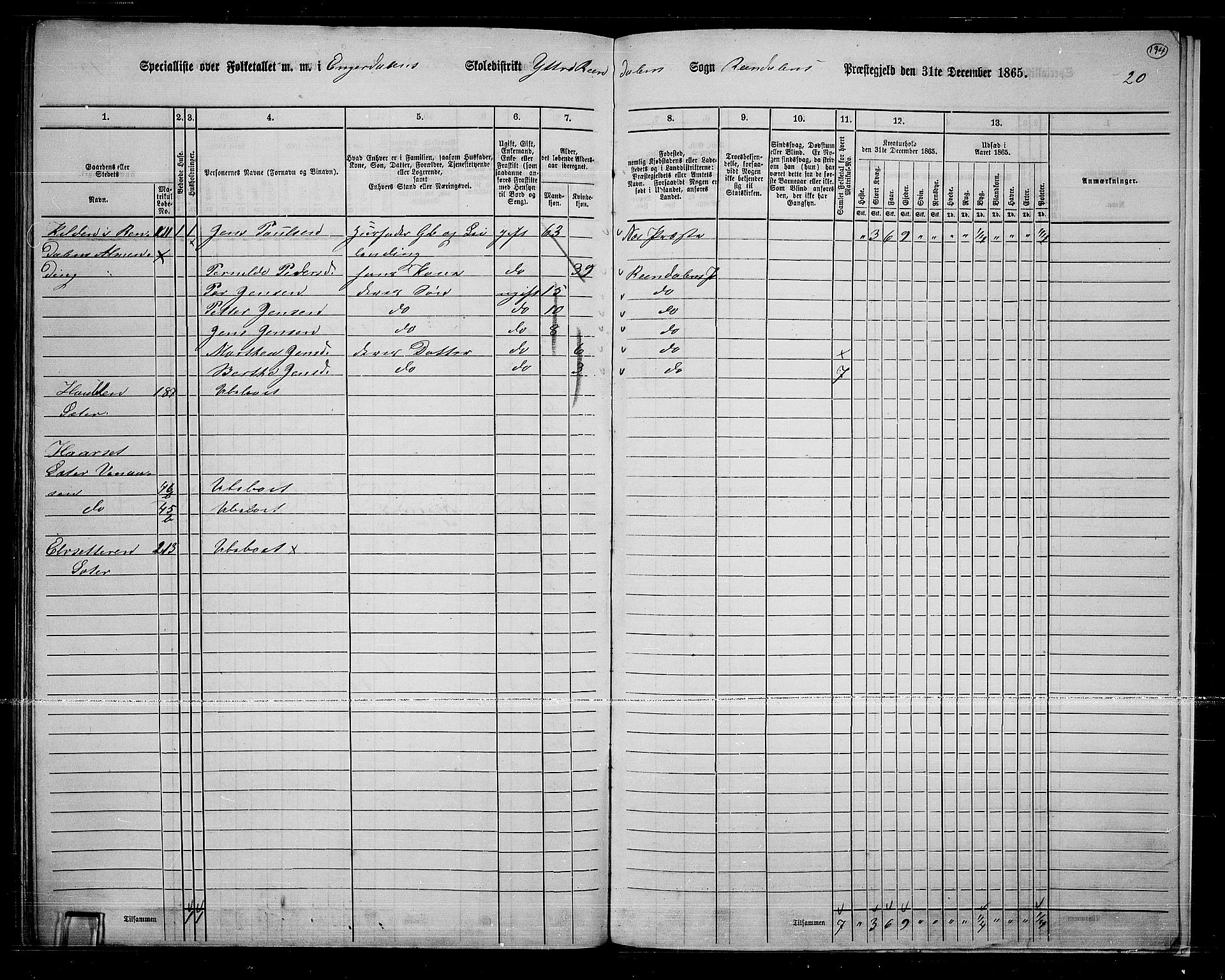 RA, 1865 census for Rendalen, 1865, p. 166