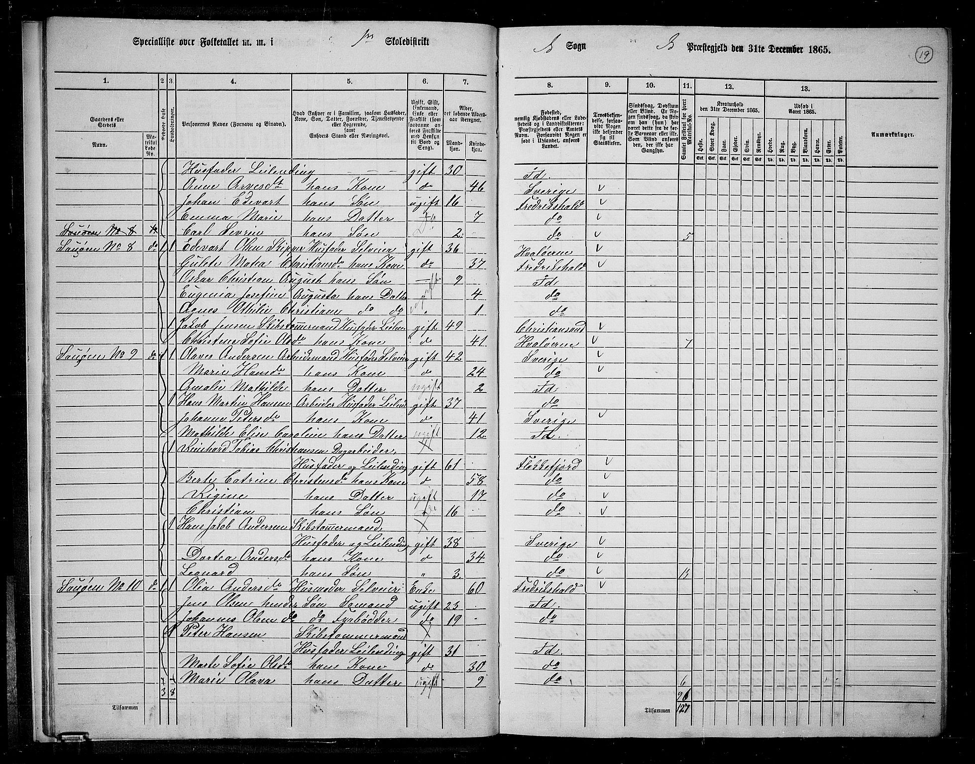 RA, 1865 census for Idd, 1865, p. 17