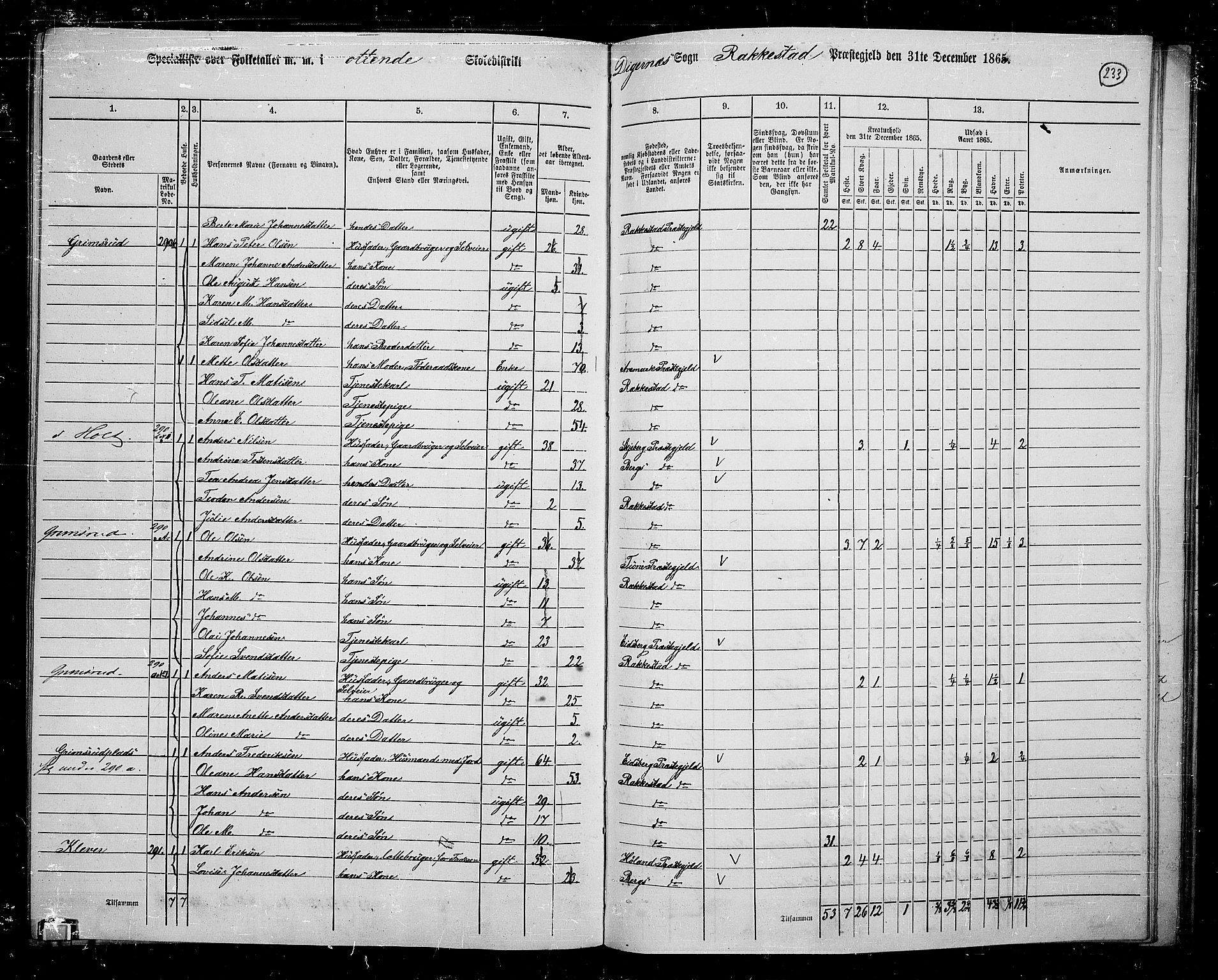 RA, 1865 census for Rakkestad, 1865, p. 224