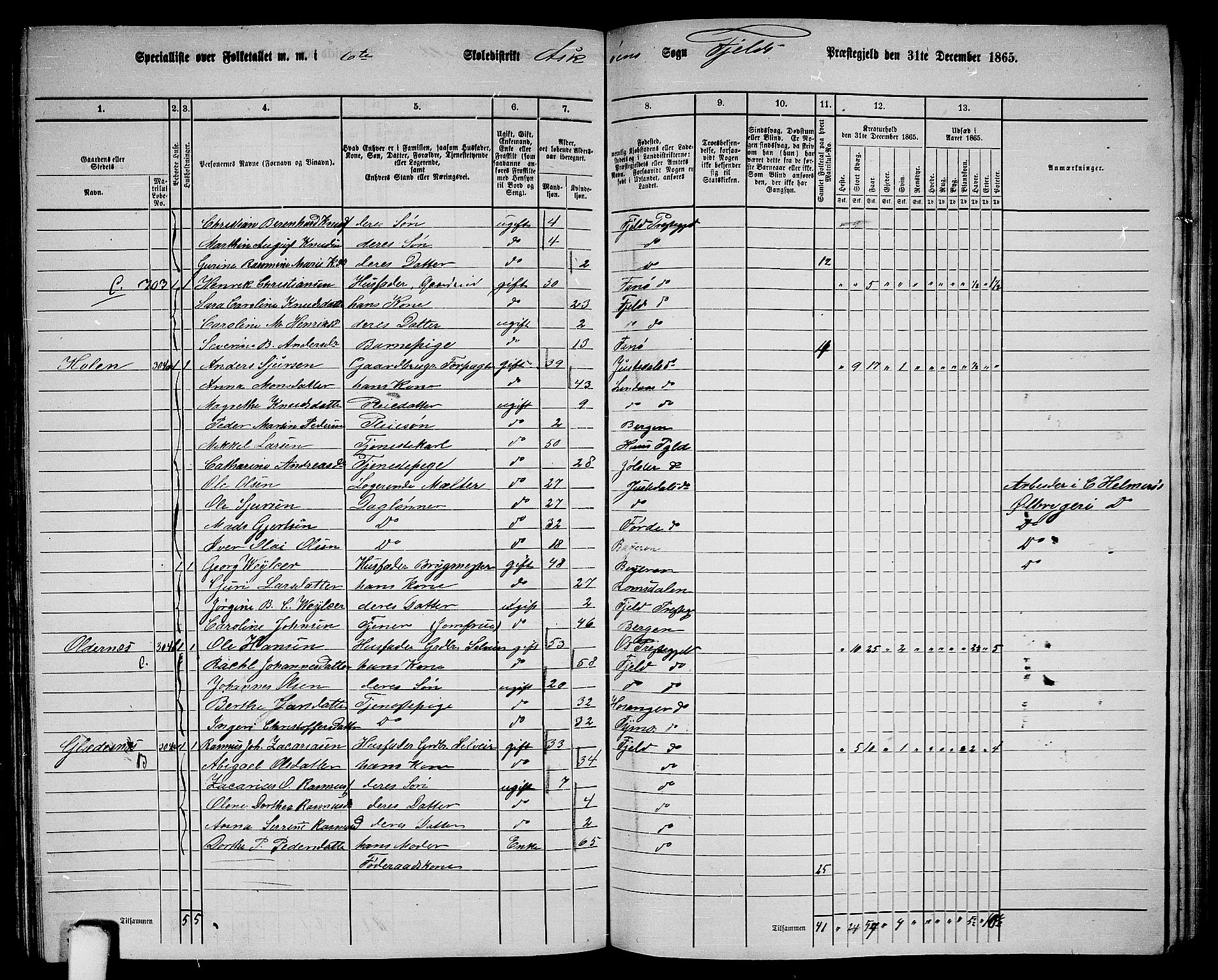RA, 1865 census for Fjell, 1865, p. 199