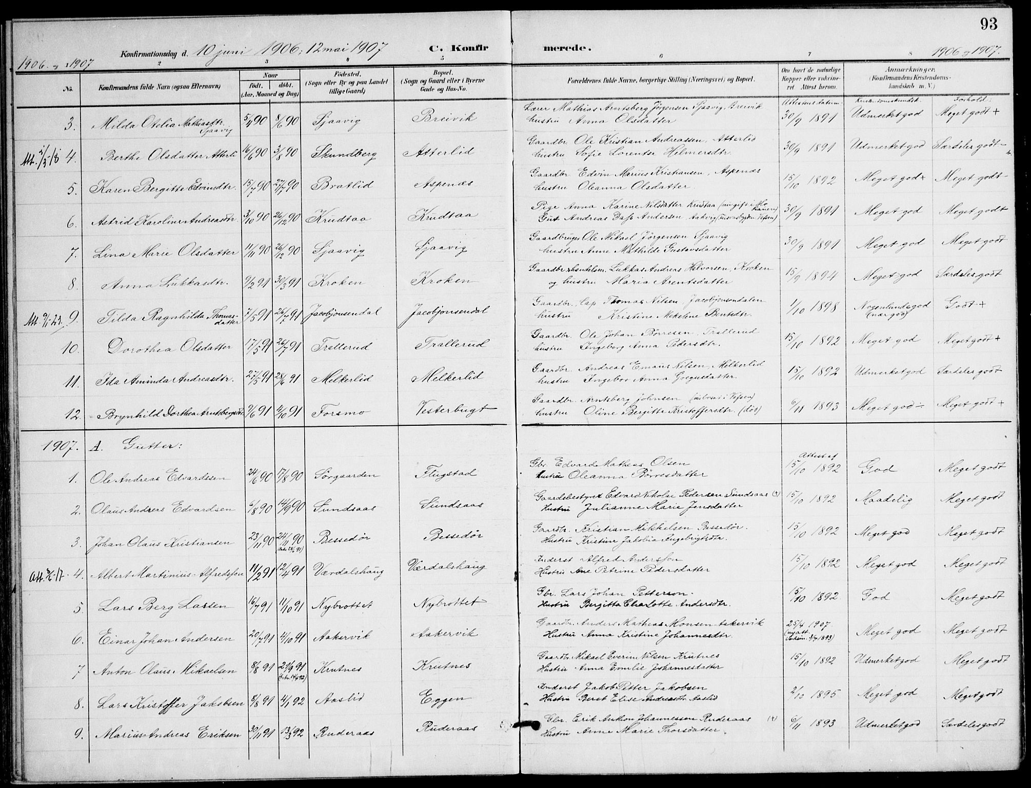 Ministerialprotokoller, klokkerbøker og fødselsregistre - Nordland, AV/SAT-A-1459/823/L0326: Parish register (official) no. 823A03, 1899-1919, p. 93