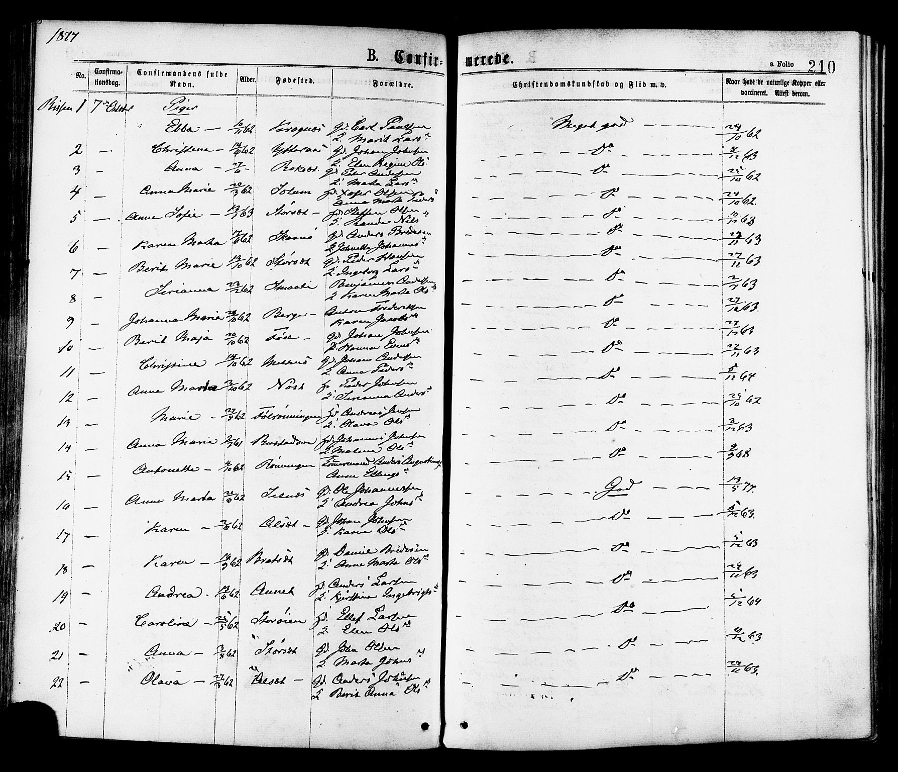 Ministerialprotokoller, klokkerbøker og fødselsregistre - Sør-Trøndelag, SAT/A-1456/646/L0613: Parish register (official) no. 646A11, 1870-1884, p. 210