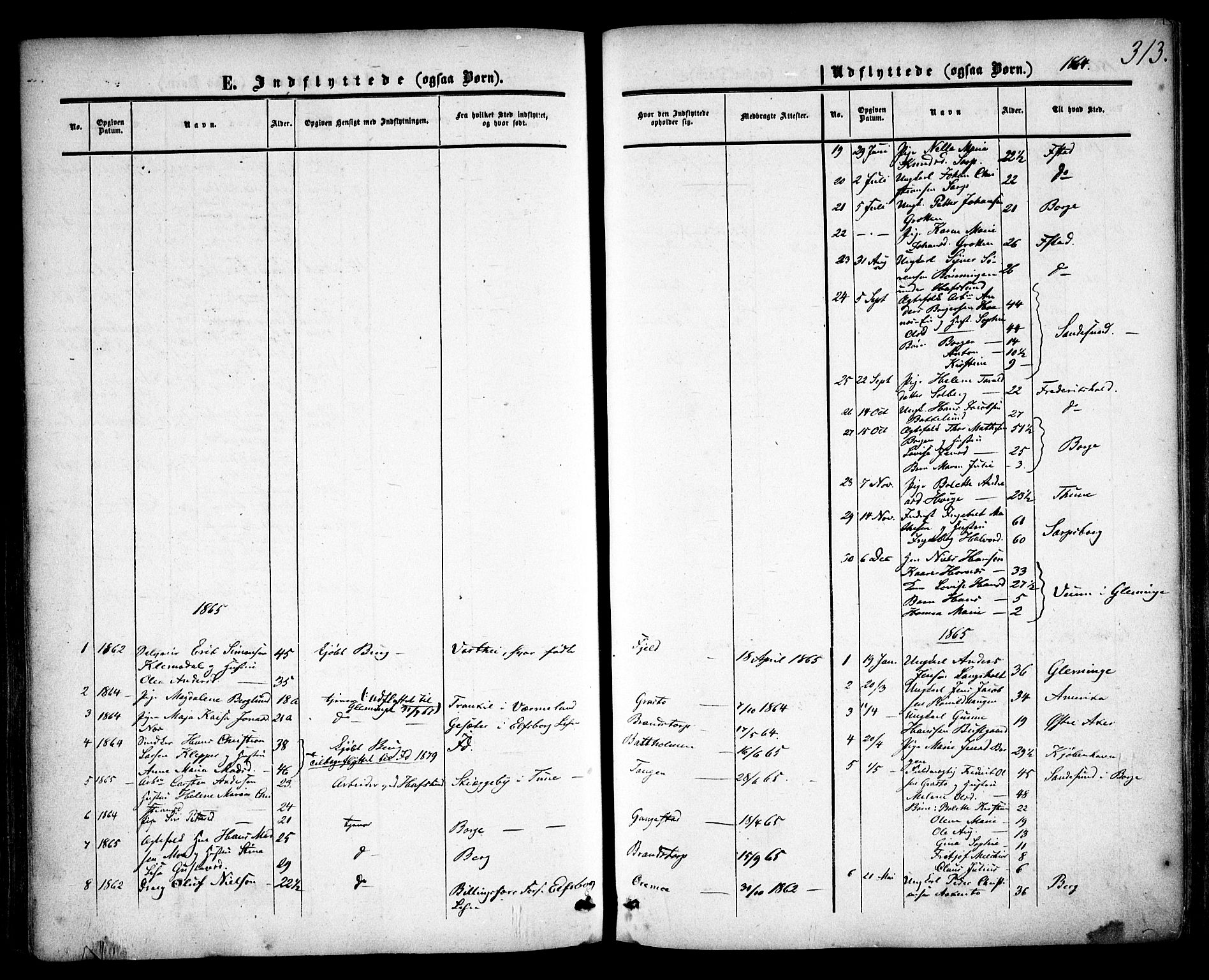Skjeberg prestekontor Kirkebøker, SAO/A-10923/F/Fa/L0007: Parish register (official) no. I 7, 1859-1868, p. 313