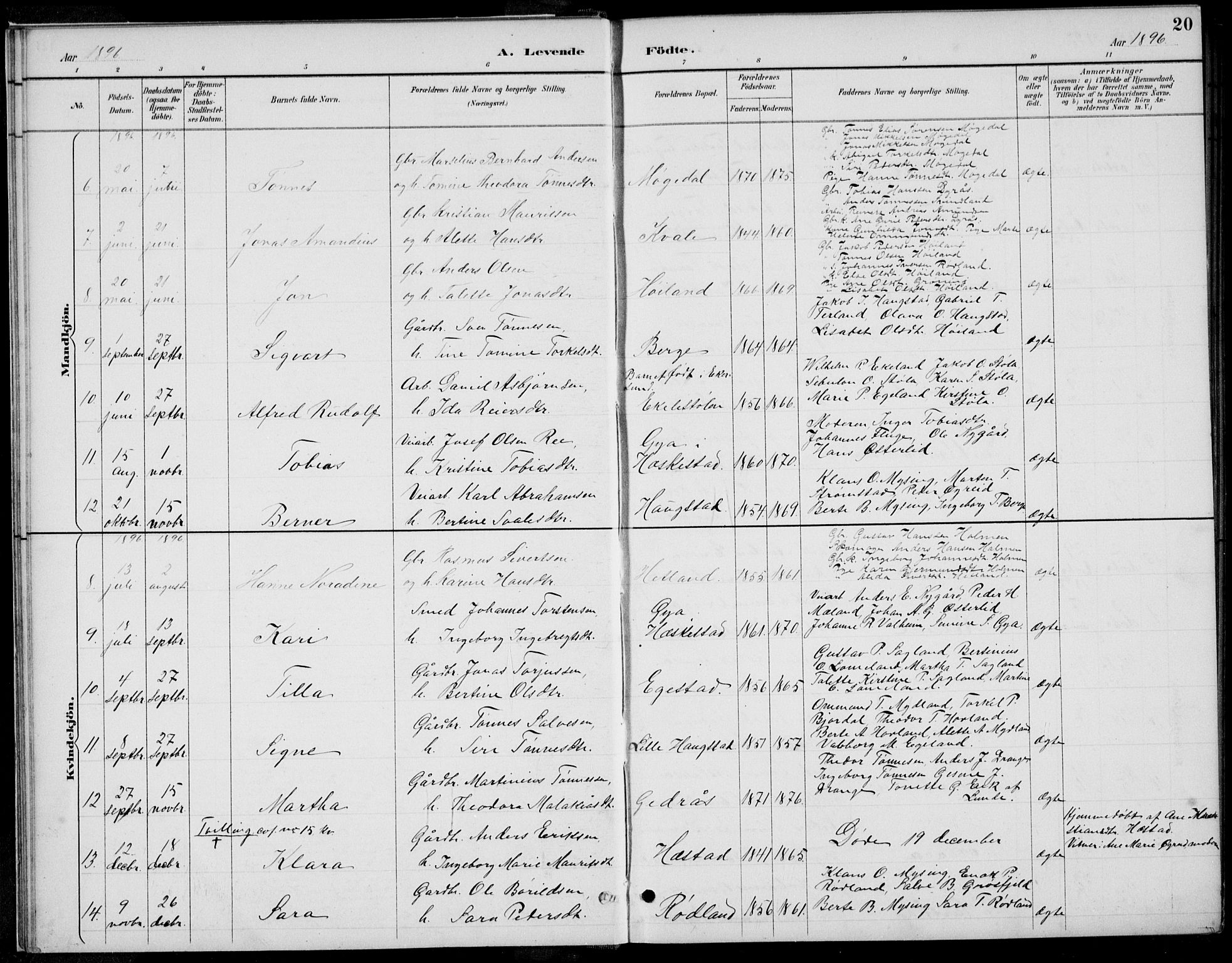 Helleland sokneprestkontor, SAST/A-101810: Parish register (copy) no. B 4, 1887-1941, p. 20