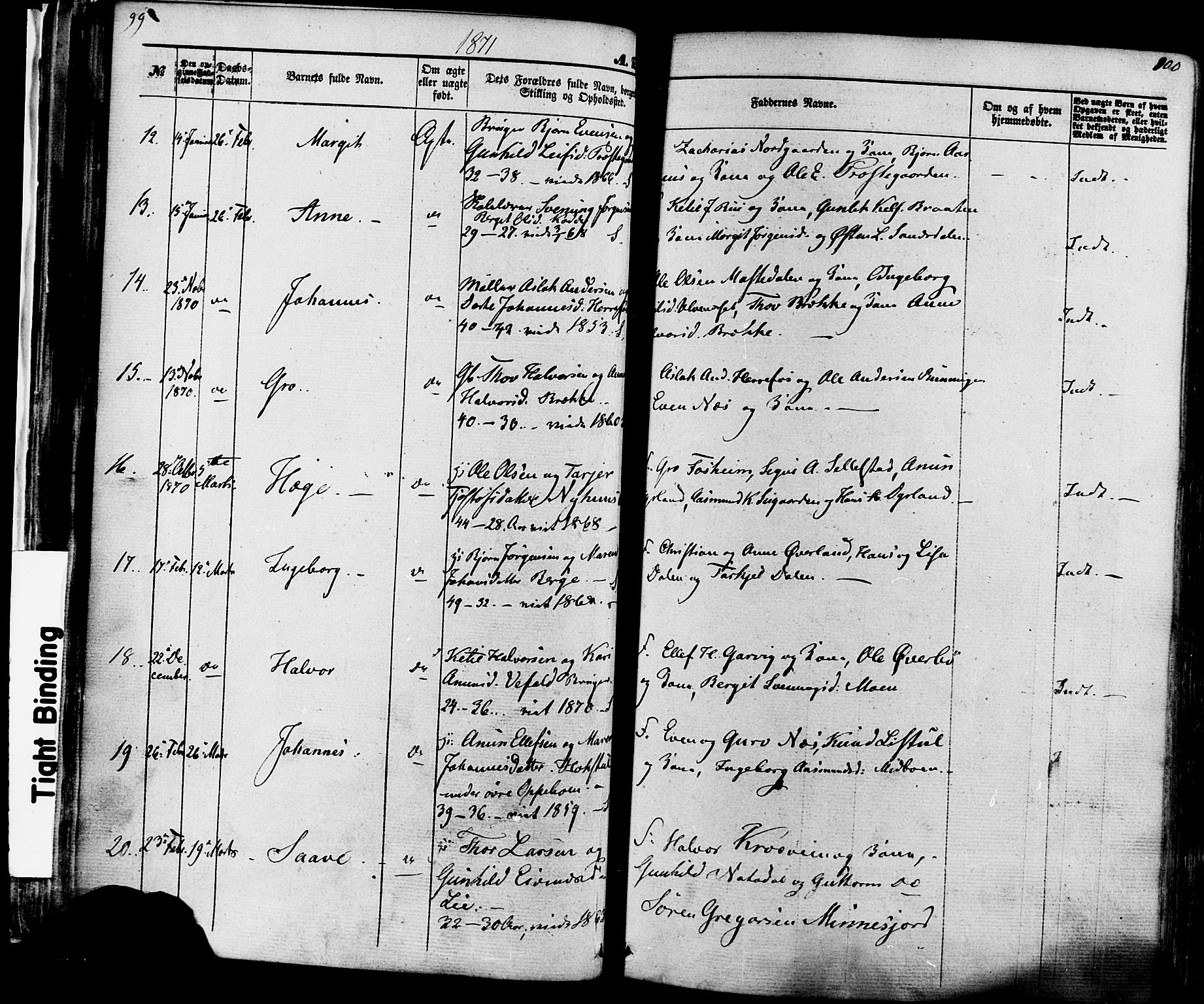 Seljord kirkebøker, SAKO/A-20/F/Fa/L0013: Parish register (official) no. I 13, 1866-1876, p. 99-100
