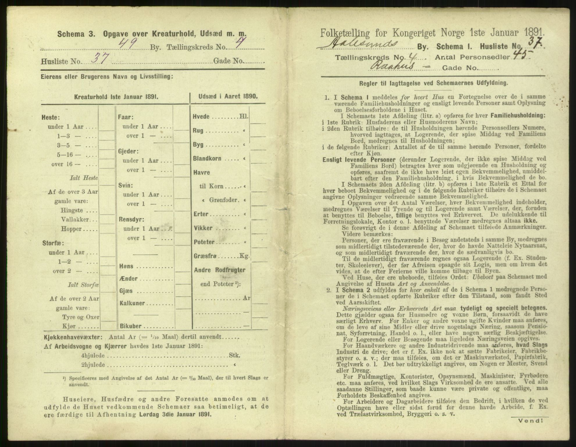 RA, 1891 census for 1501 Ålesund, 1891, p. 368