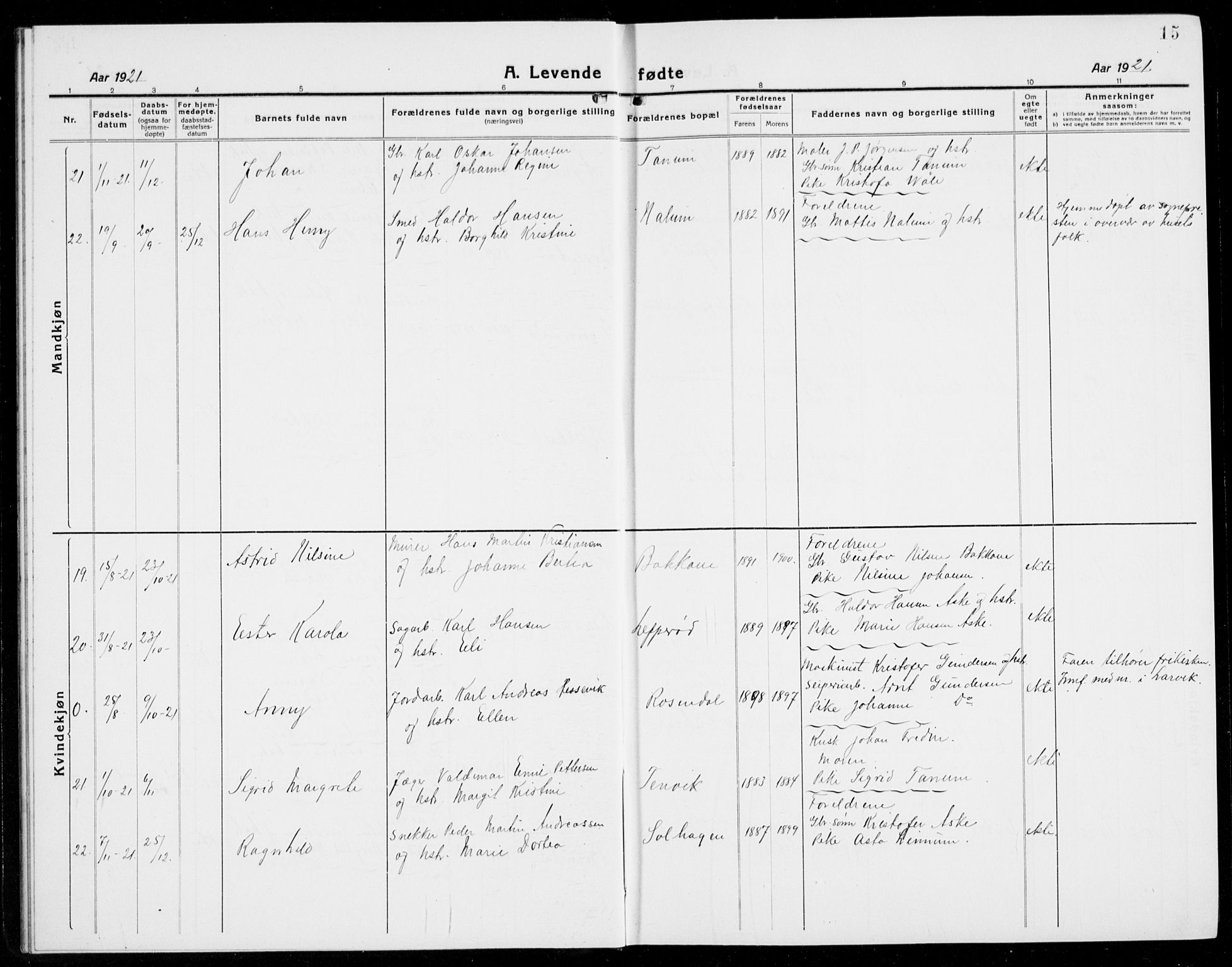 Brunlanes kirkebøker, AV/SAKO-A-342/G/Ga/L0005: Parish register (copy) no. I 5, 1918-1941, p. 15