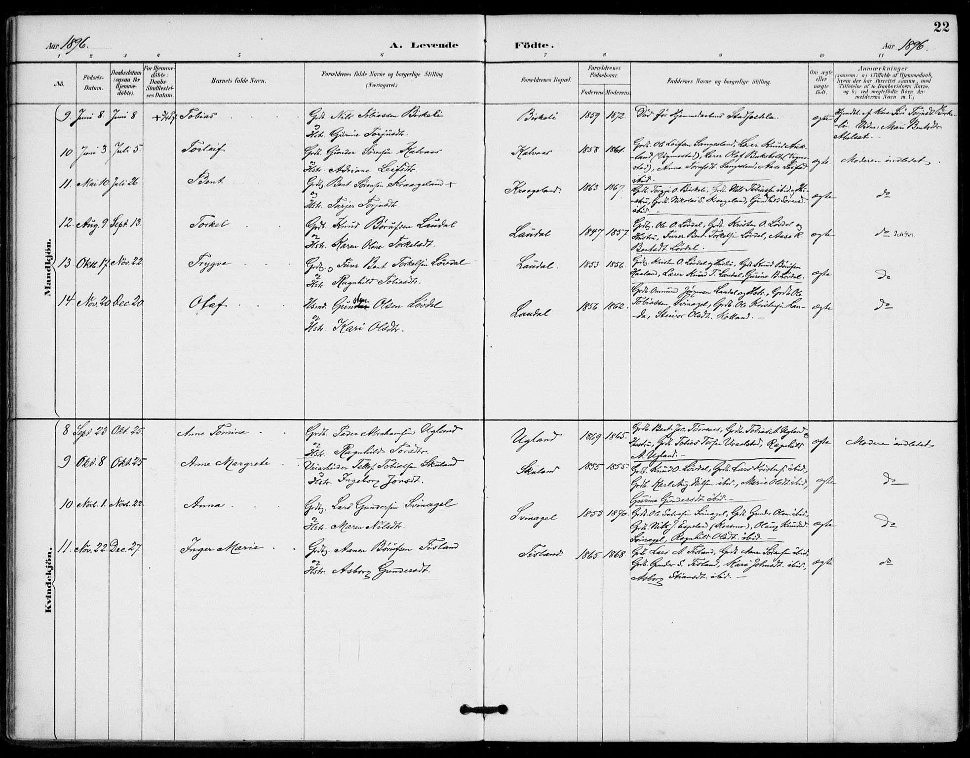 Holum sokneprestkontor, AV/SAK-1111-0022/F/Fa/Fab/L0007: Parish register (official) no. A 7, 1887-1912, p. 22