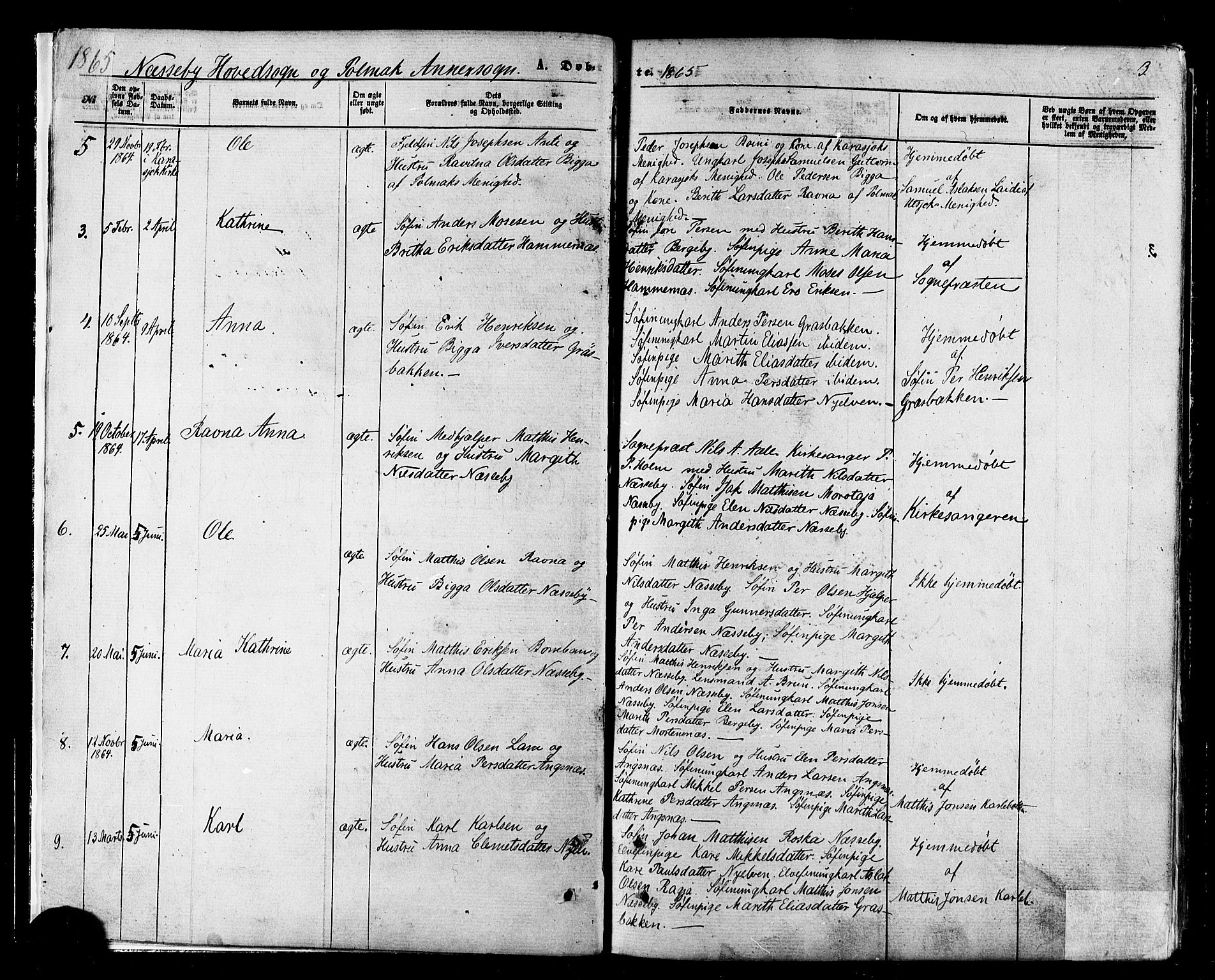 Nesseby sokneprestkontor, SATØ/S-1330/H/Ha/L0003kirke: Parish register (official) no. 3 /1, 1865-1876, p. 3