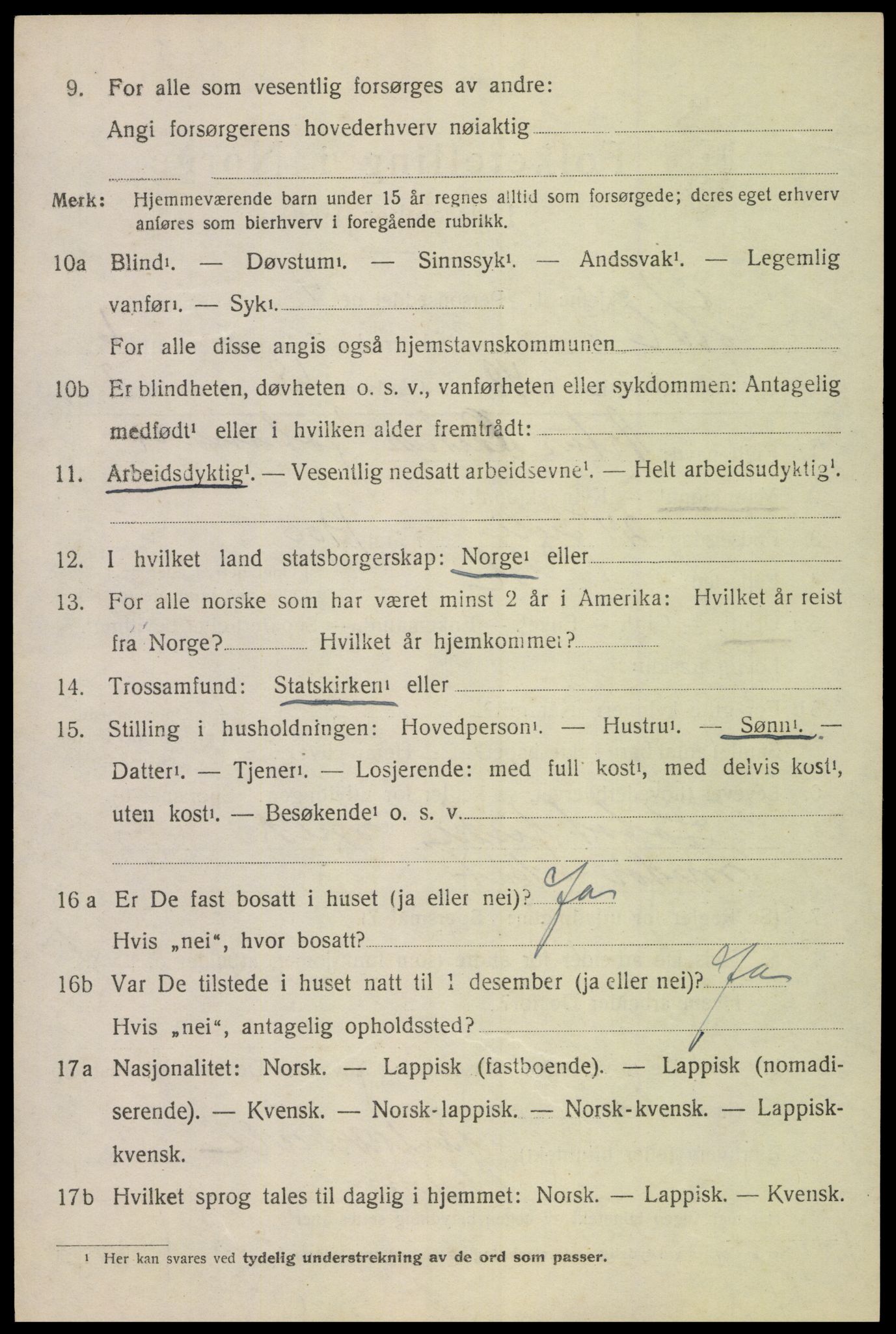 SAT, 1920 census for Hol, 1920, p. 5206