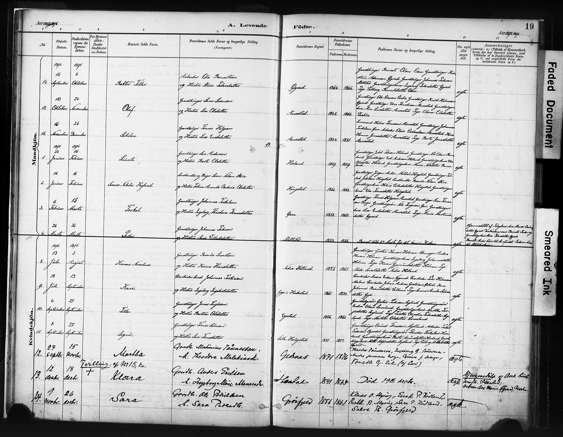 Helleland sokneprestkontor, AV/SAST-A-101810: Parish register (official) no. A 8, 1887-1907, p. 19