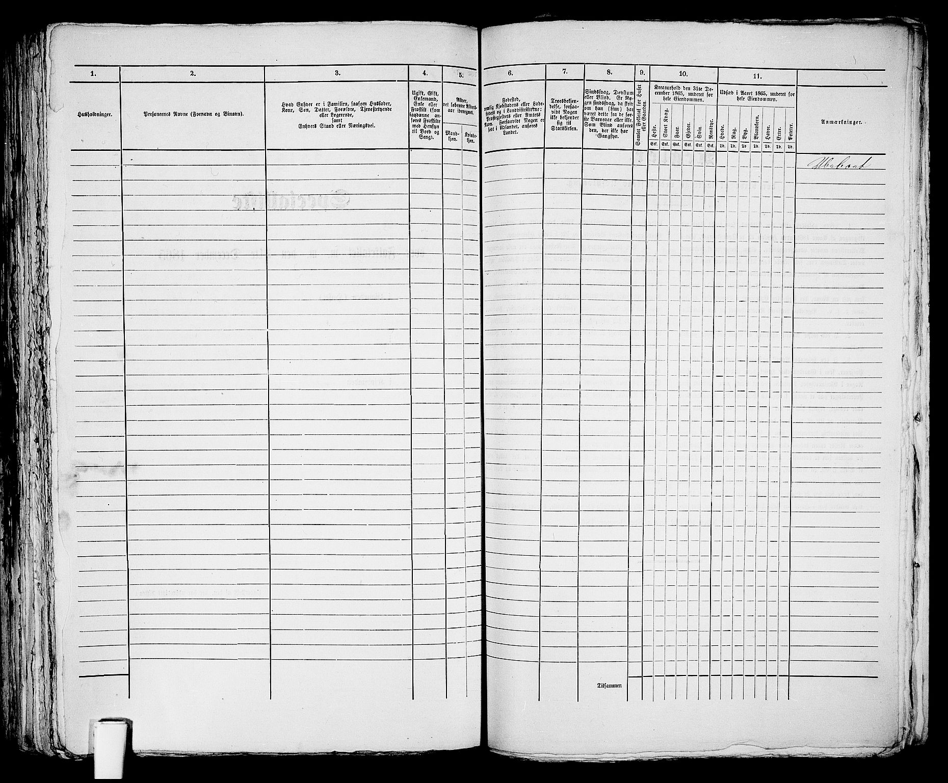 RA, 1865 census for Skien, 1865, p. 1143