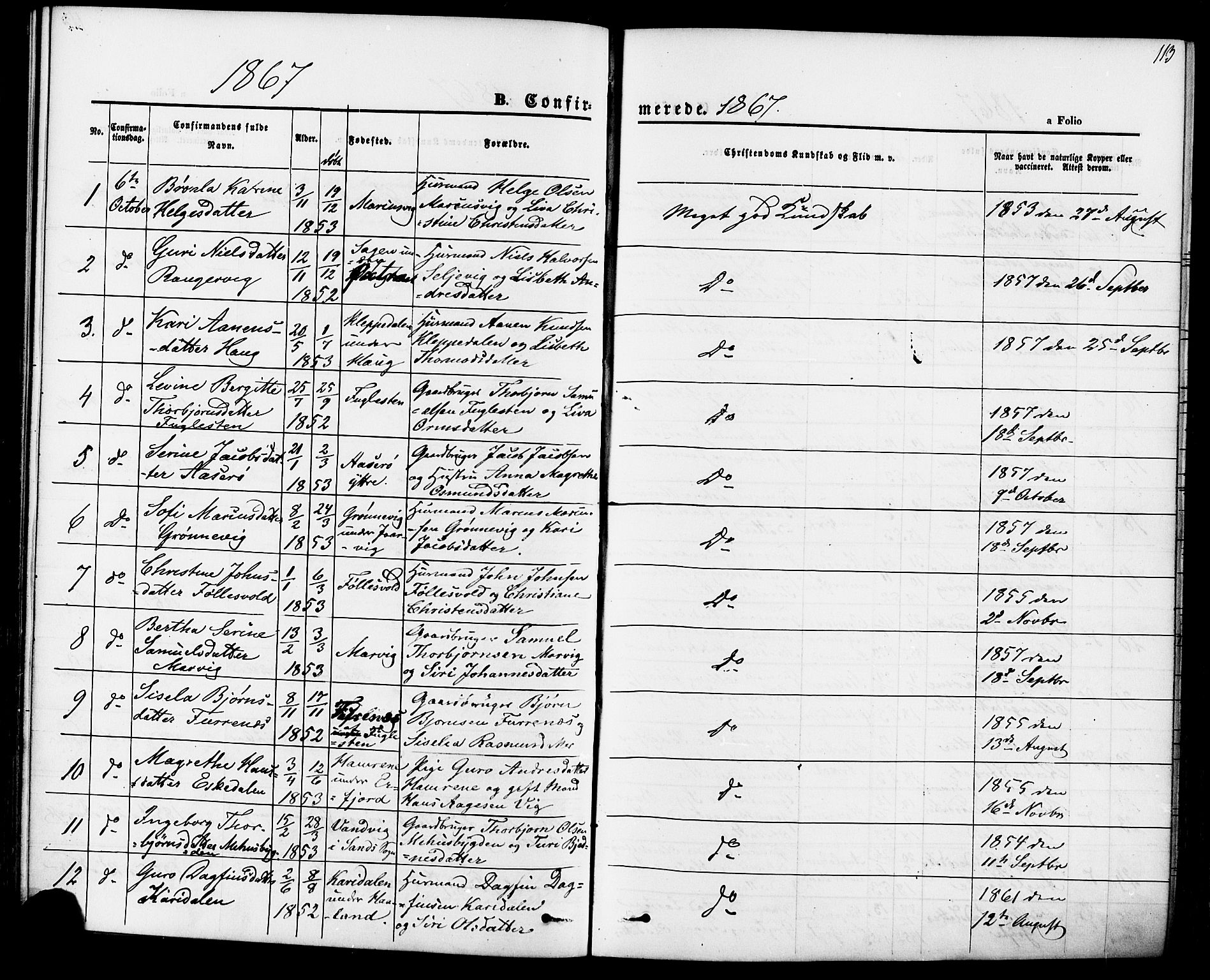 Jelsa sokneprestkontor, AV/SAST-A-101842/01/IV: Parish register (official) no. A 8, 1867-1883, p. 113