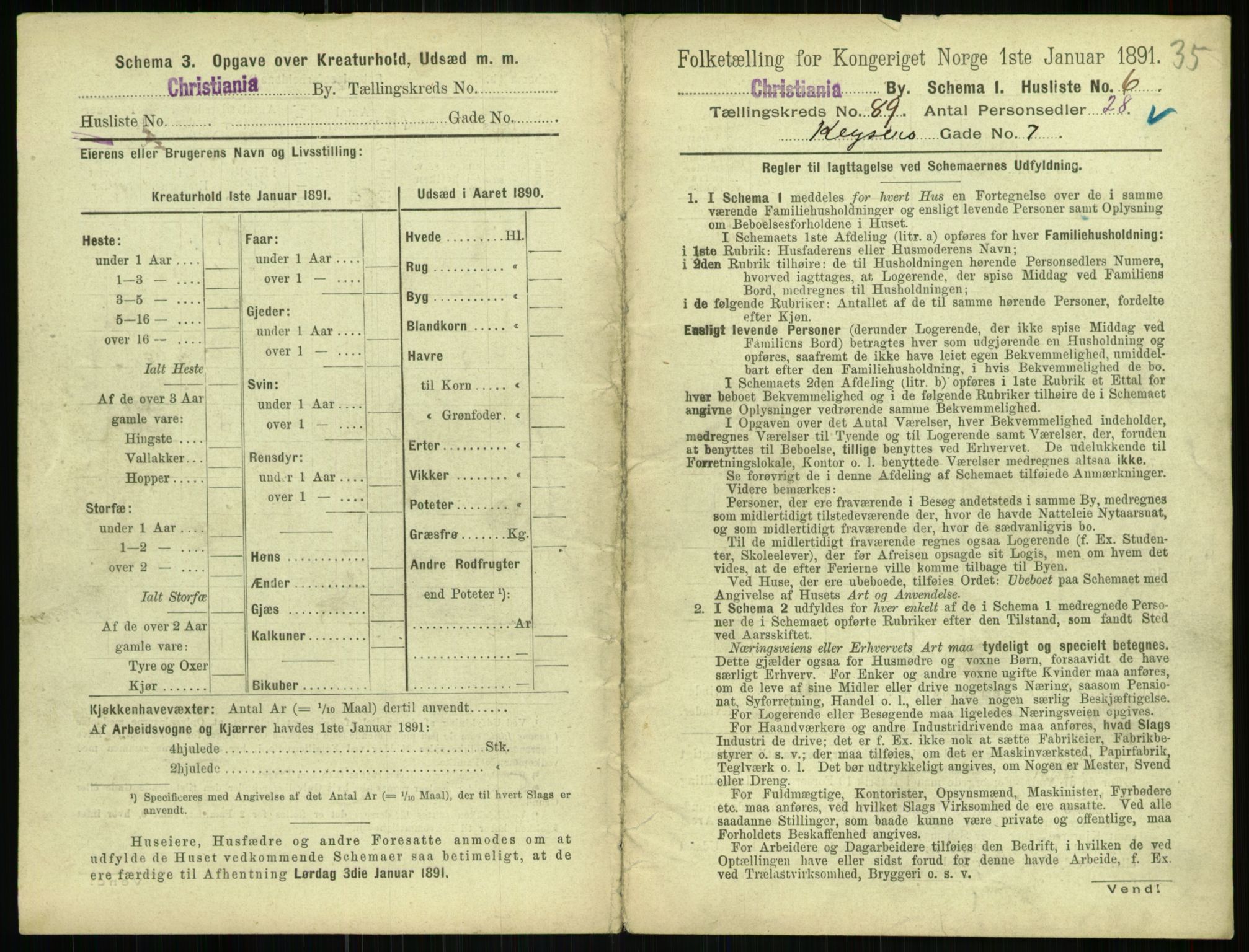 RA, 1891 census for 0301 Kristiania, 1891, p. 43889