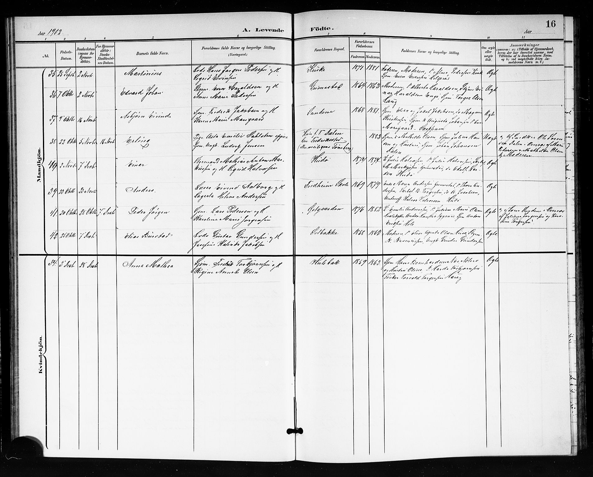 Tjøme kirkebøker, SAKO/A-328/G/Ga/L0001: Parish register (copy) no. 1, 1901-1910, p. 16