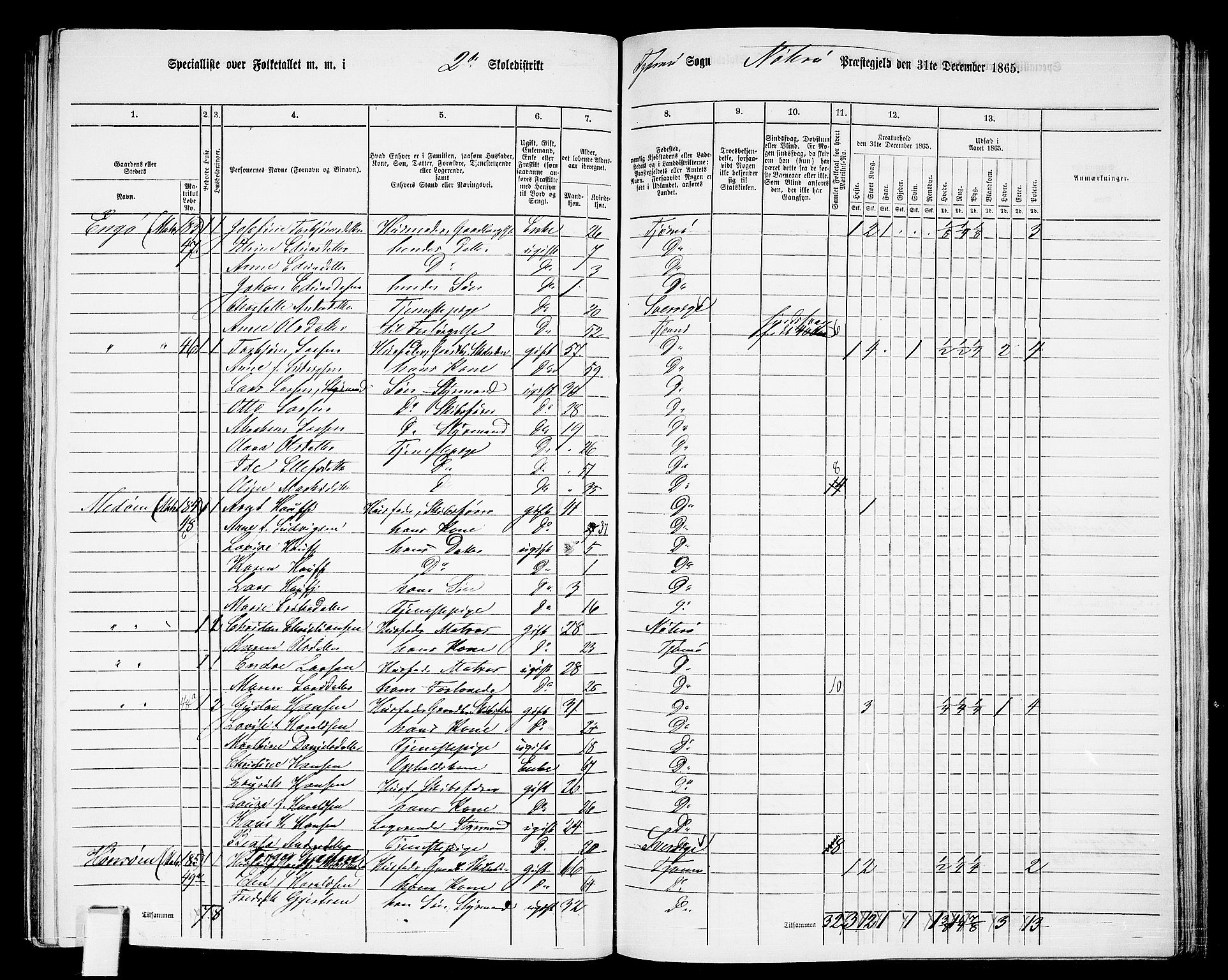 RA, 1865 census for Nøtterøy, 1865, p. 252