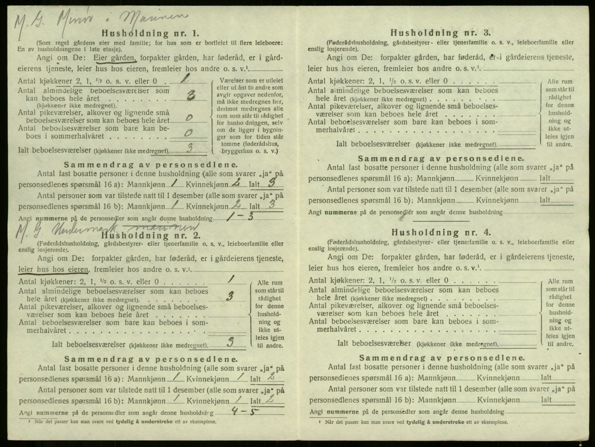 SAKO, 1920 census for Borre, 1920, p. 35
