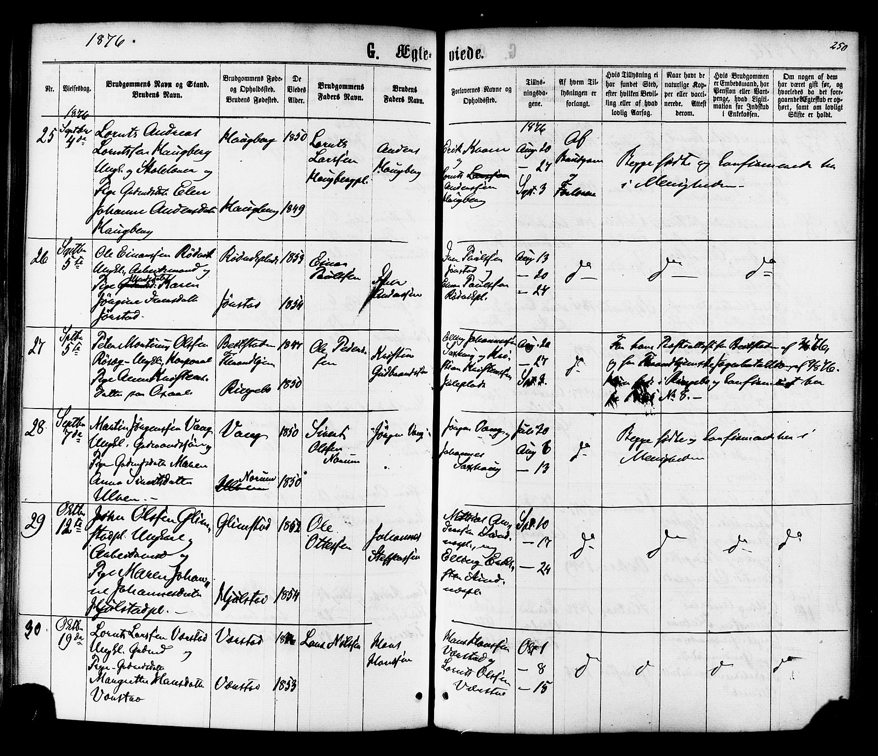 Ministerialprotokoller, klokkerbøker og fødselsregistre - Nord-Trøndelag, AV/SAT-A-1458/730/L0284: Parish register (official) no. 730A09, 1866-1878, p. 250