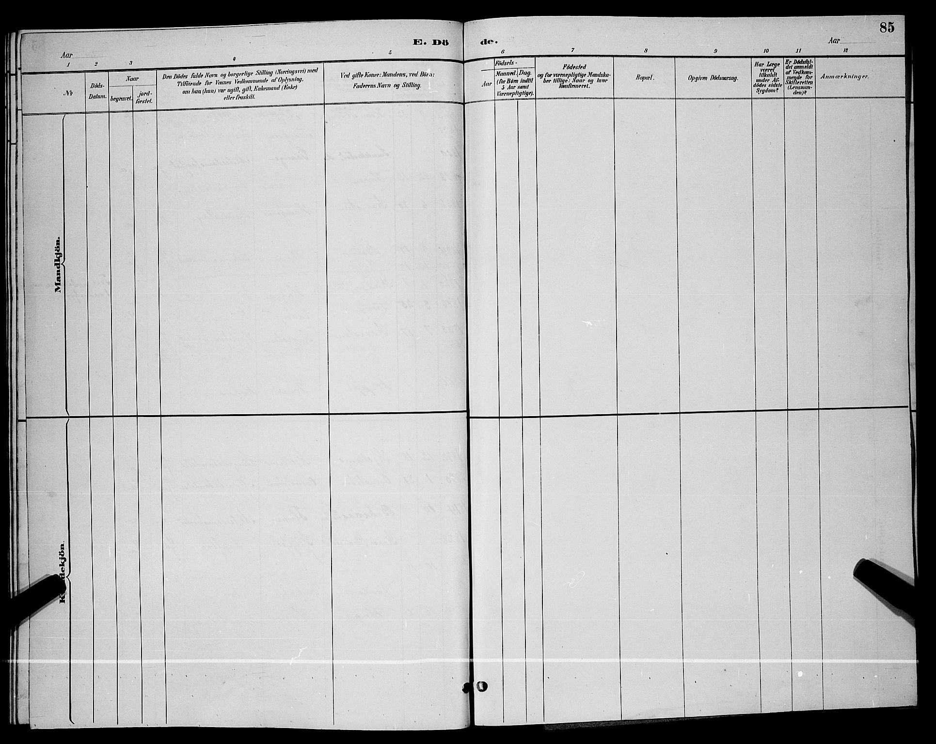 Lunde kirkebøker, SAKO/A-282/G/Gb/L0002: Parish register (copy) no. II 2, 1888-1895, p. 85