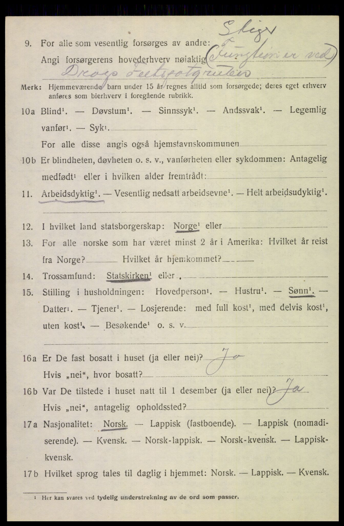 SAT, 1920 census for Tysfjord, 1920, p. 5864