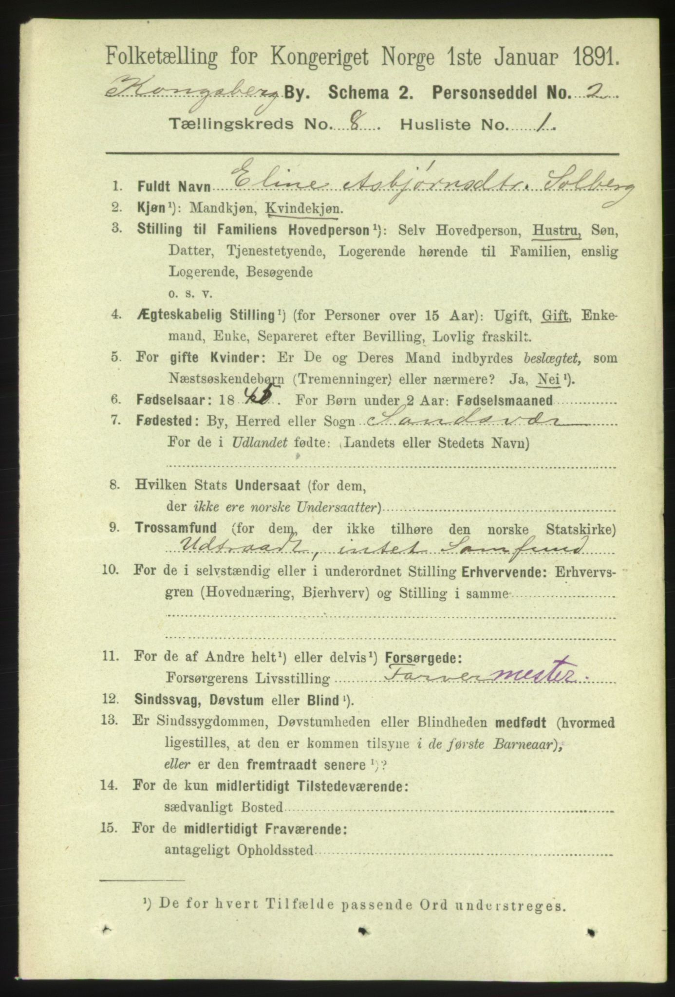 RA, 1891 census for 0604 Kongsberg, 1891, p. 5493