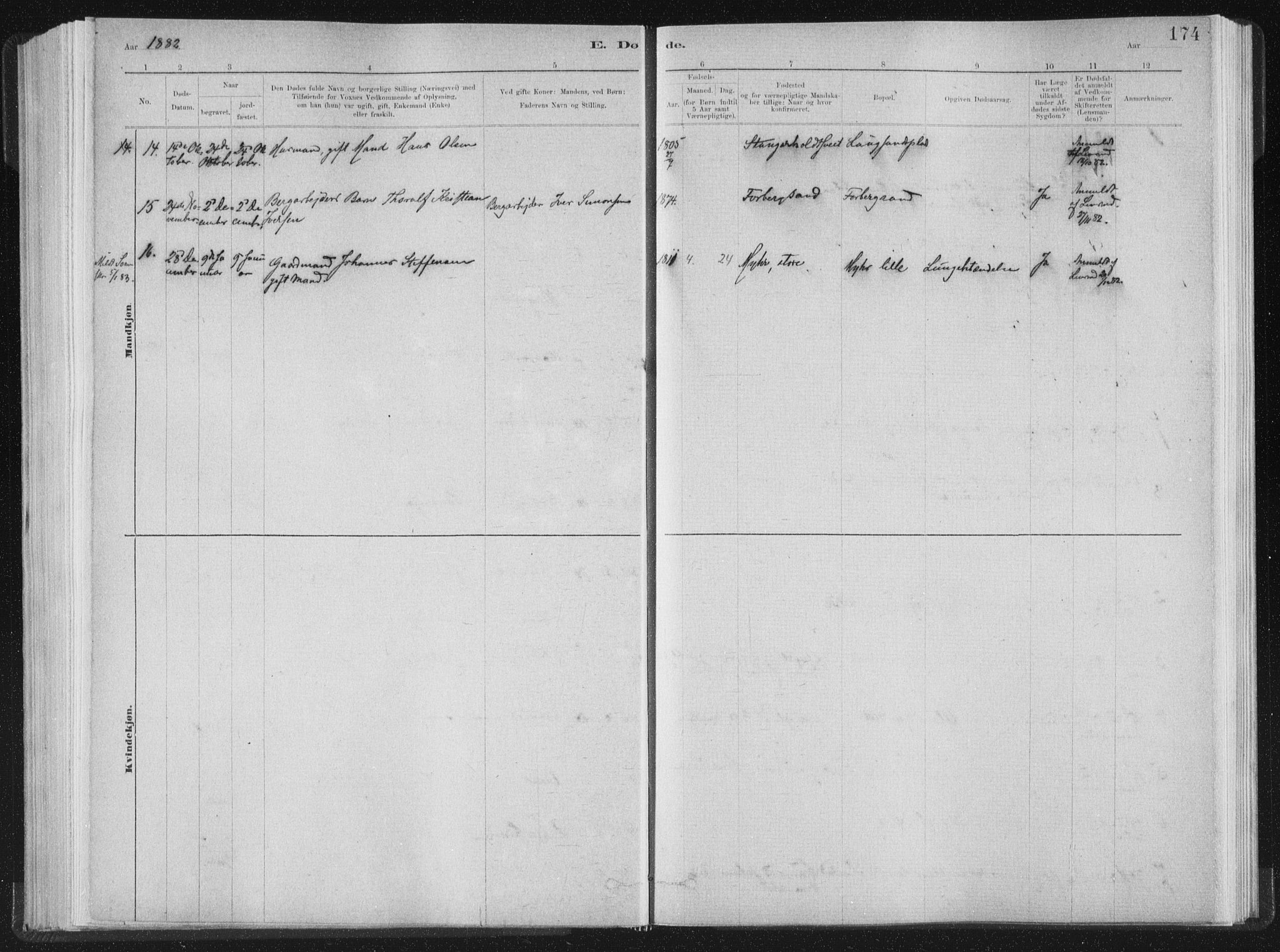 Ministerialprotokoller, klokkerbøker og fødselsregistre - Nord-Trøndelag, AV/SAT-A-1458/722/L0220: Parish register (official) no. 722A07, 1881-1908, p. 174