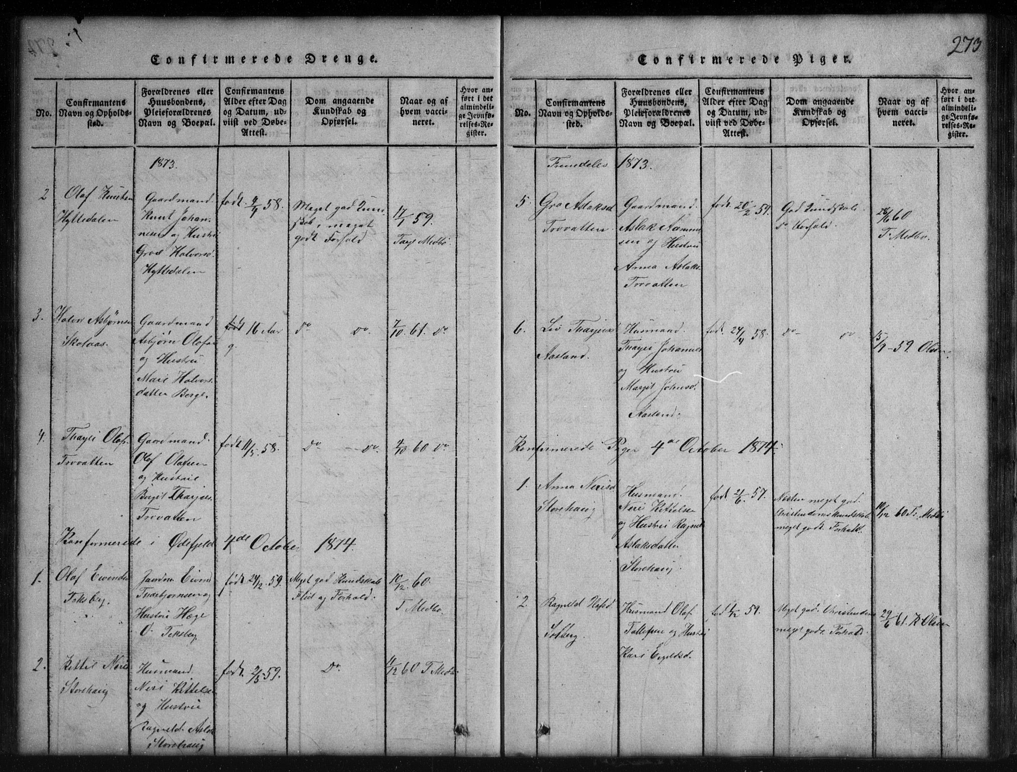 Rauland kirkebøker, SAKO/A-292/G/Gb/L0001: Parish register (copy) no. II 1, 1815-1886, p. 273