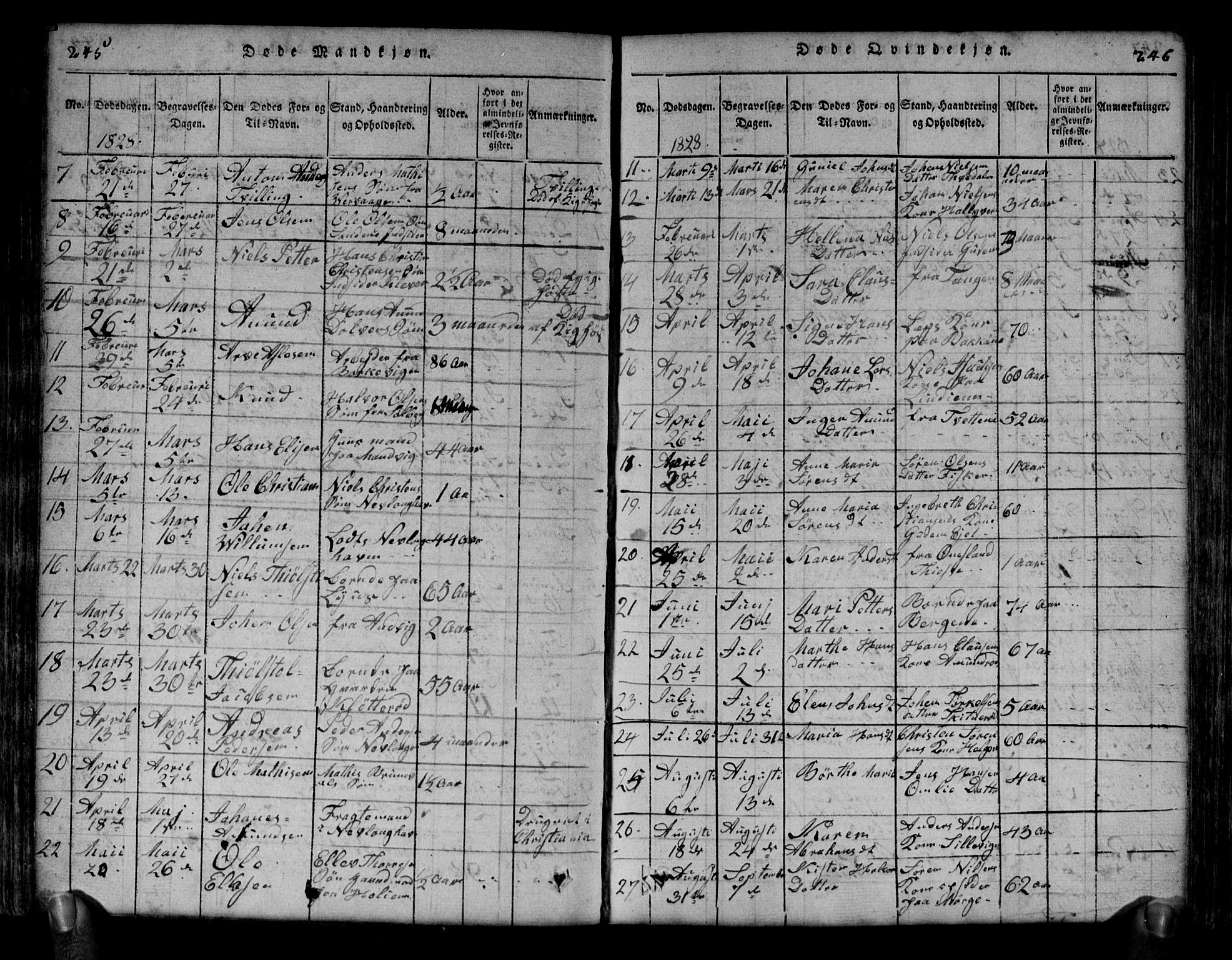 Brunlanes kirkebøker, AV/SAKO-A-342/G/Ga/L0001: Parish register (copy) no. I 1, 1814-1834, p. 245-246