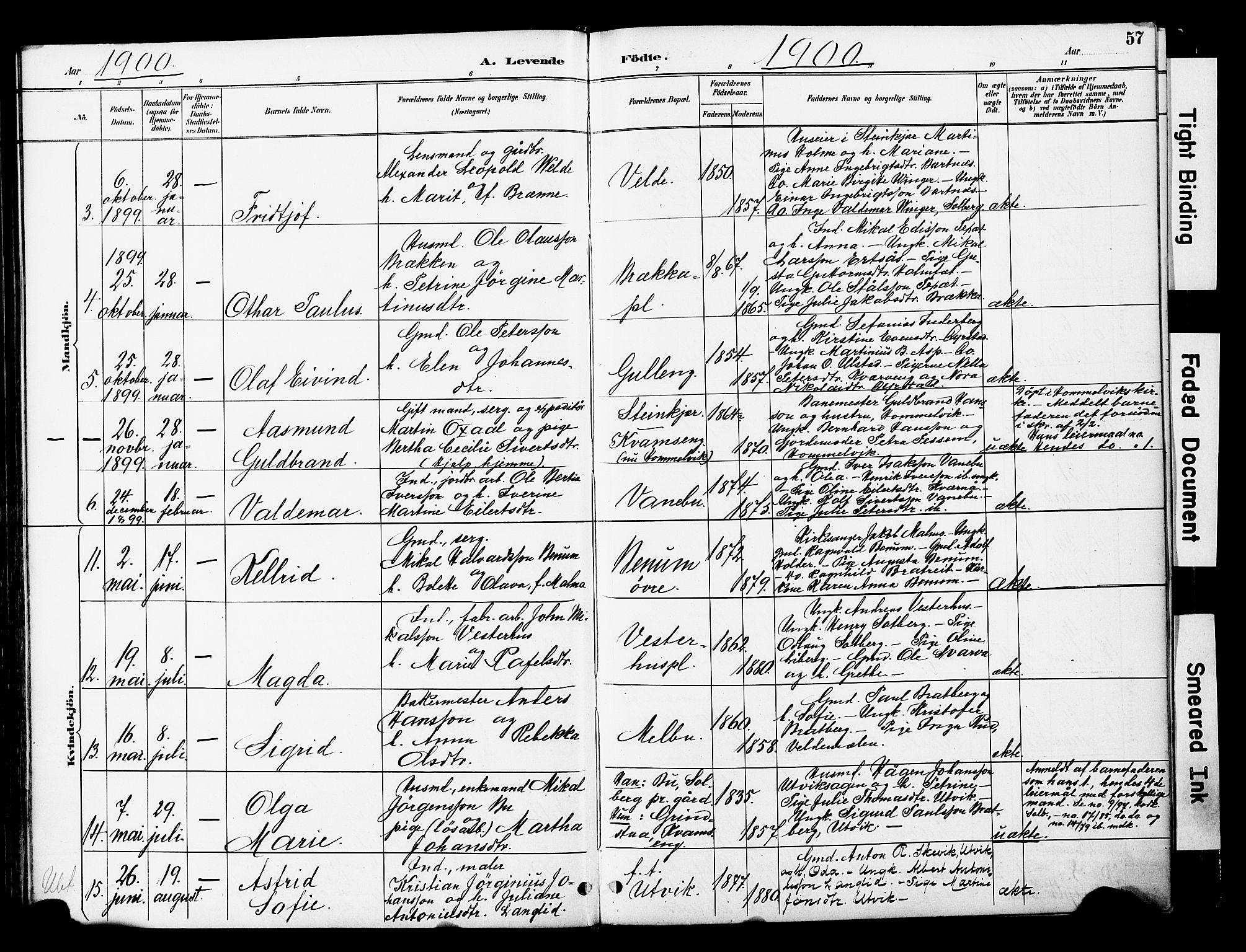 Ministerialprotokoller, klokkerbøker og fødselsregistre - Nord-Trøndelag, SAT/A-1458/741/L0396: Parish register (official) no. 741A10, 1889-1901, p. 57