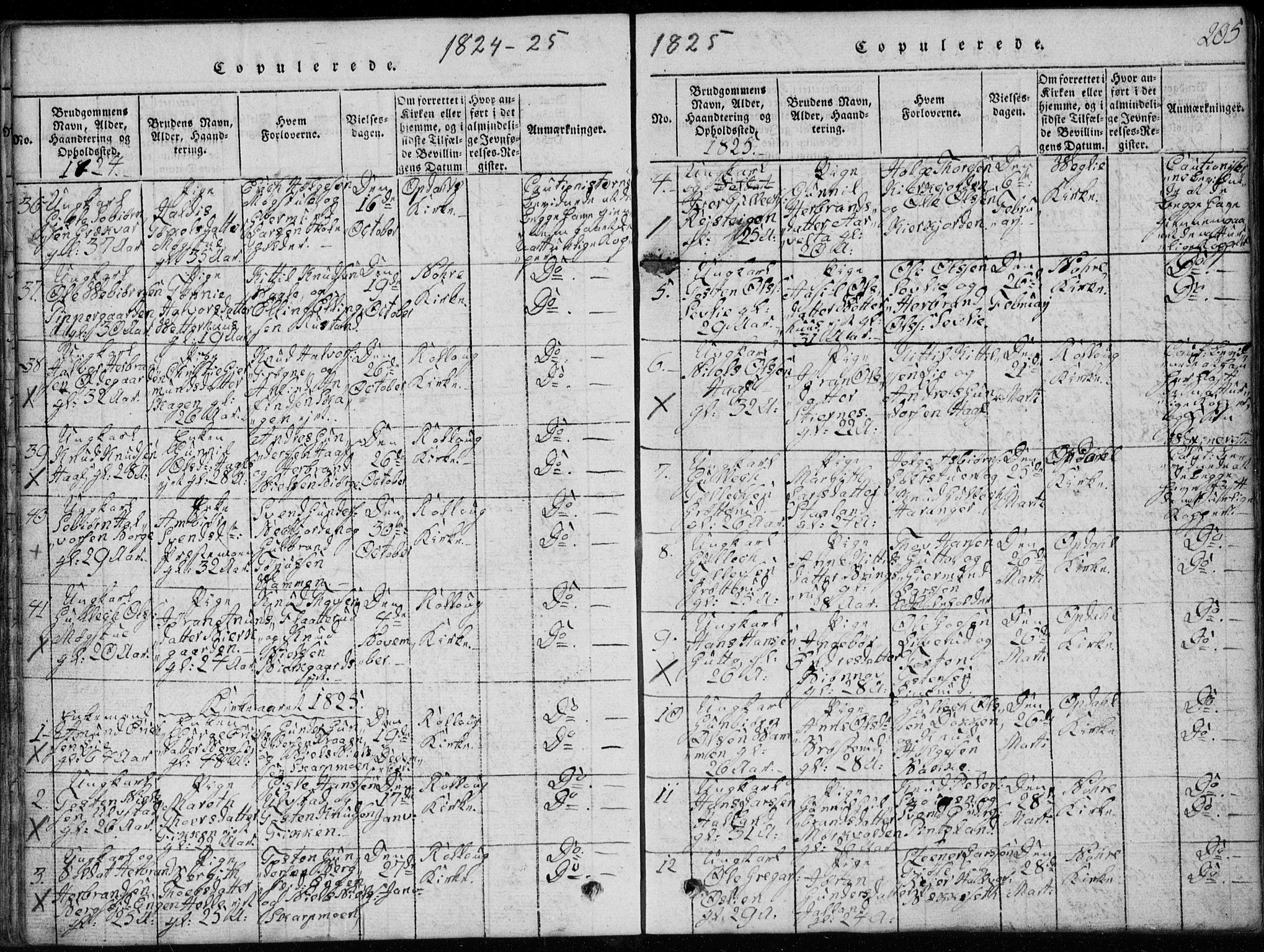 Rollag kirkebøker, SAKO/A-240/G/Ga/L0001: Parish register (copy) no. I 1, 1814-1831, p. 205