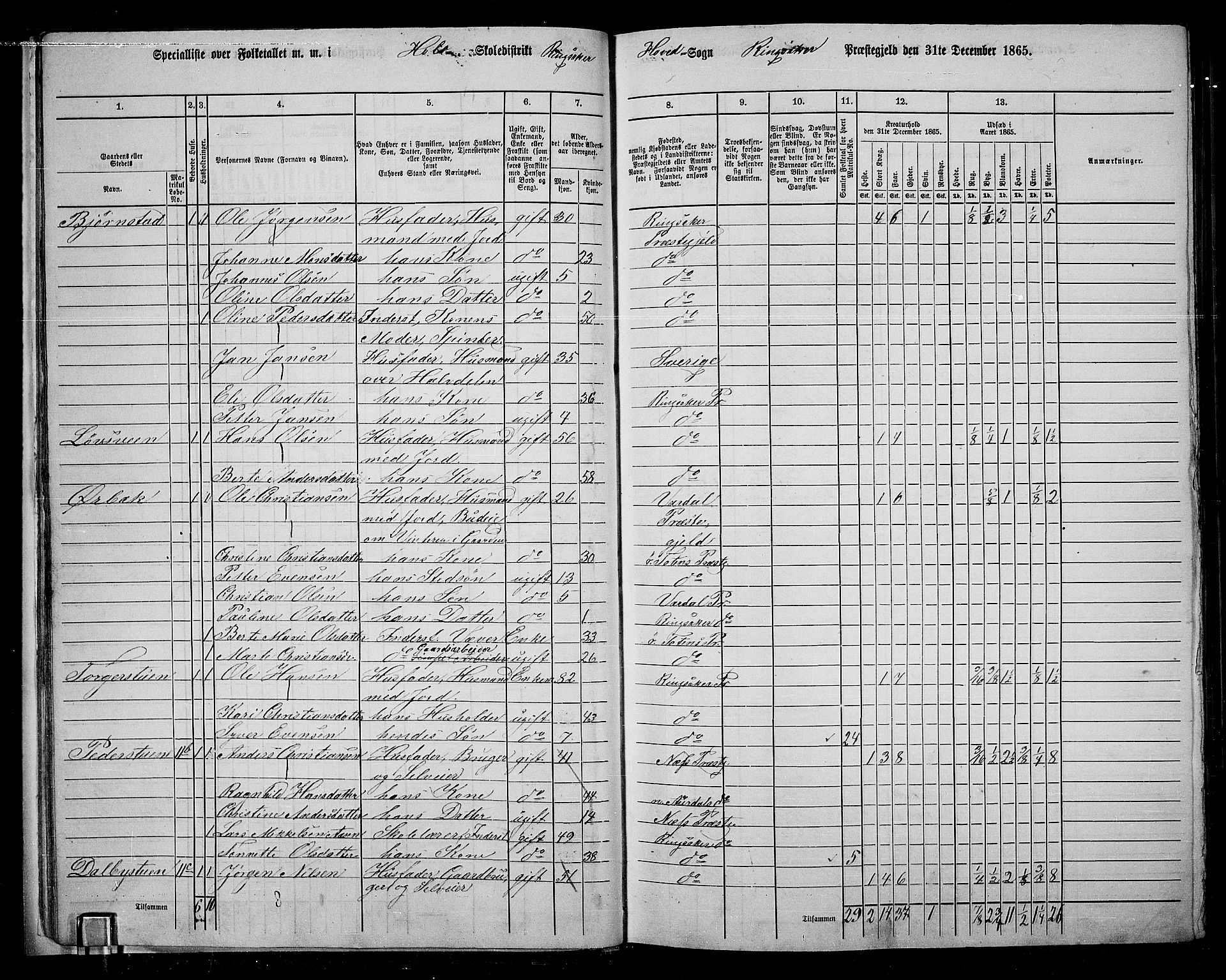 RA, 1865 census for Ringsaker, 1865, p. 31