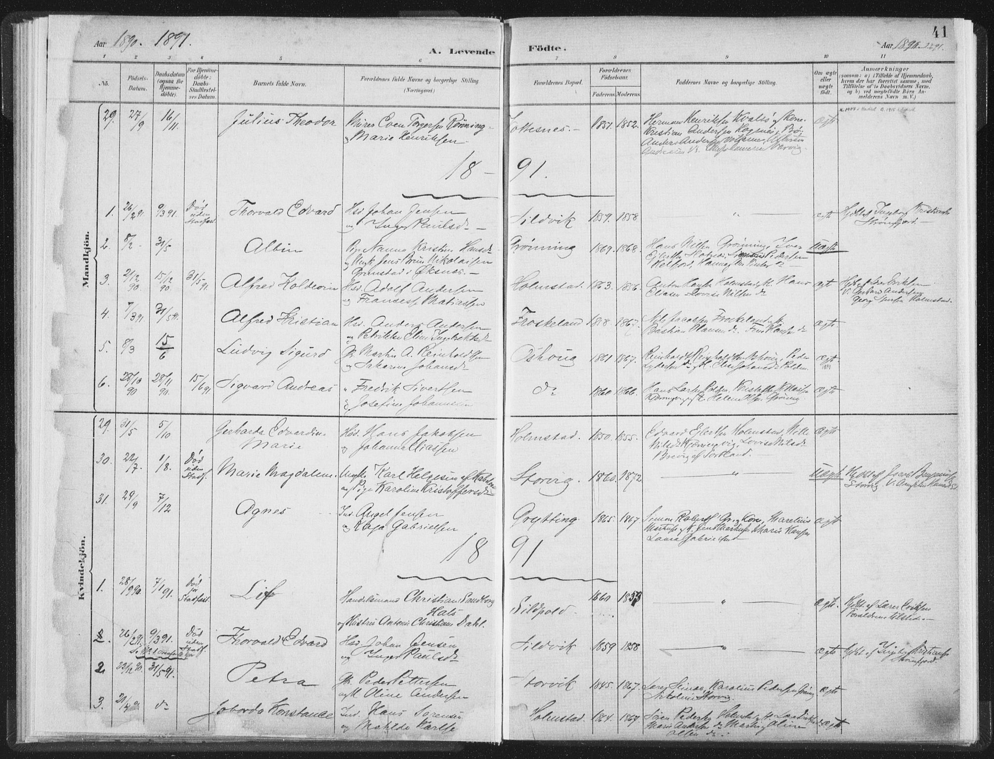 Ministerialprotokoller, klokkerbøker og fødselsregistre - Nordland, SAT/A-1459/890/L1286: Parish register (official) no. 890A01, 1882-1902, p. 41