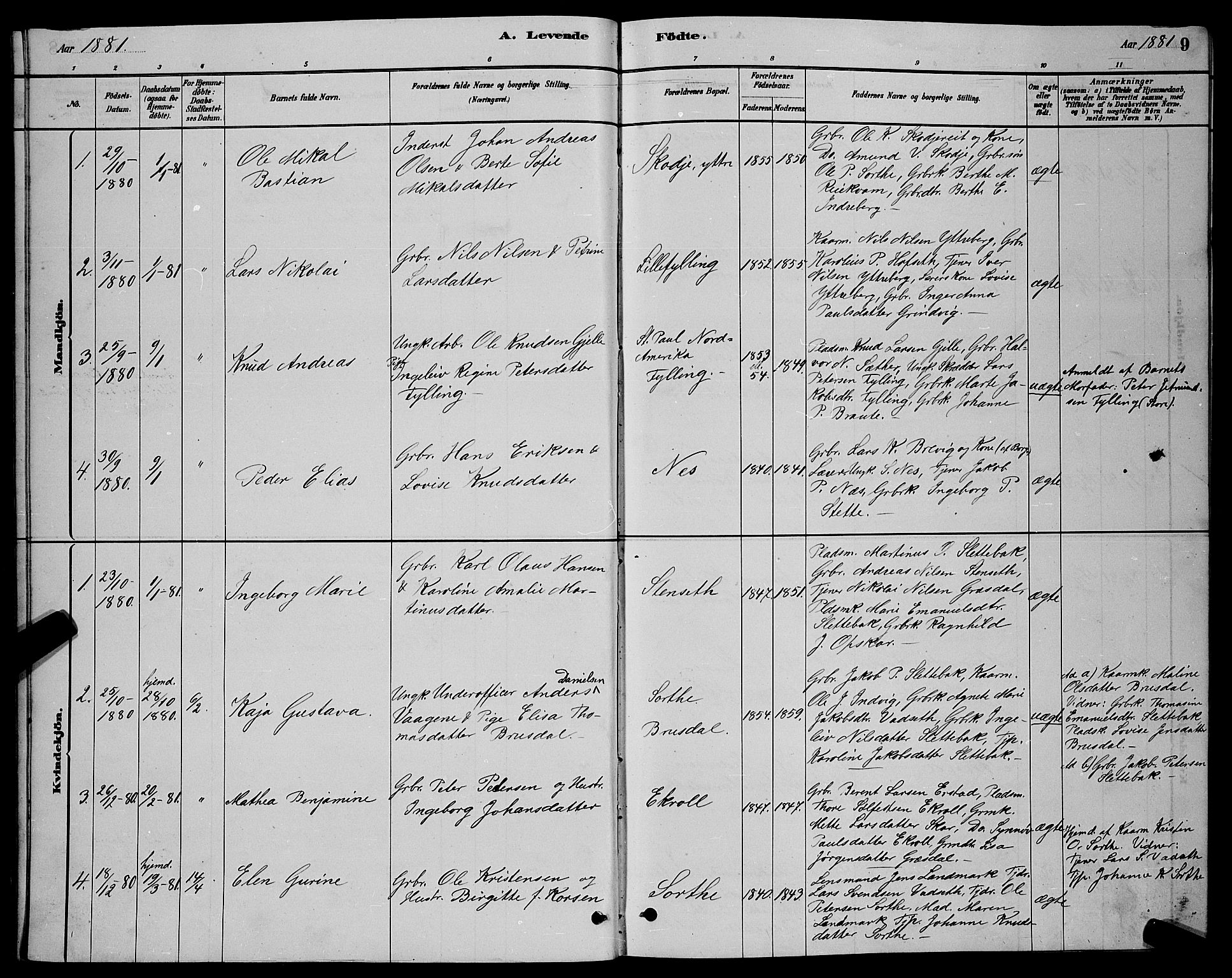 Ministerialprotokoller, klokkerbøker og fødselsregistre - Møre og Romsdal, AV/SAT-A-1454/524/L0365: Parish register (copy) no. 524C06, 1880-1899, p. 9