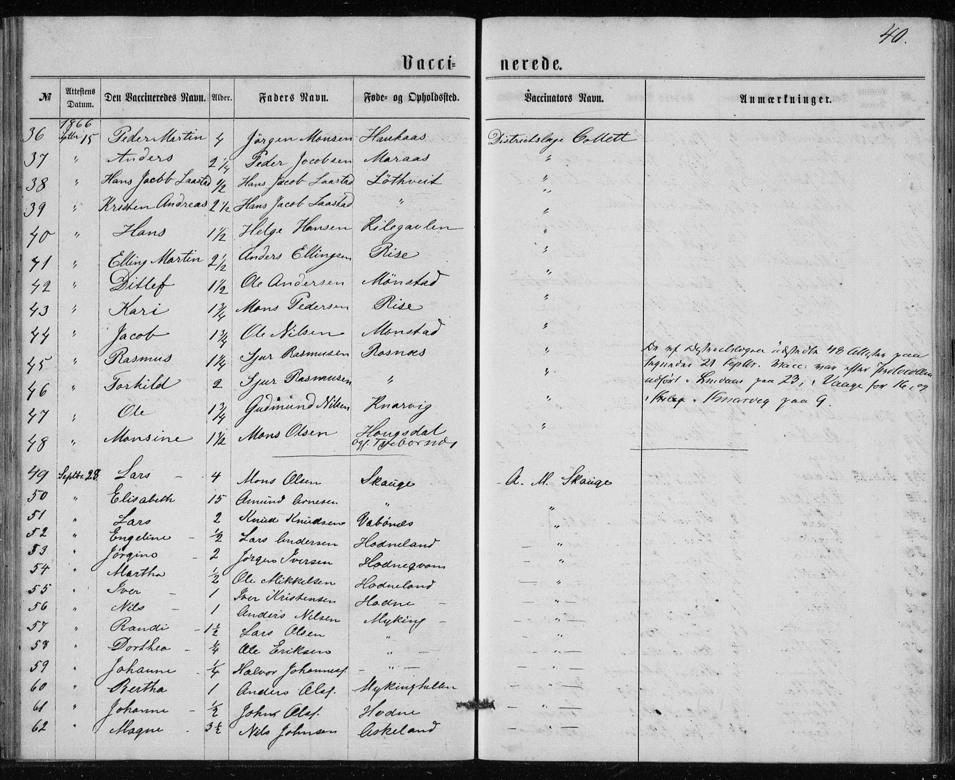 Lindås Sokneprestembete, SAB/A-76701/H/Haa: Parish register (official) no. A 17, 1874-1877, p. 40