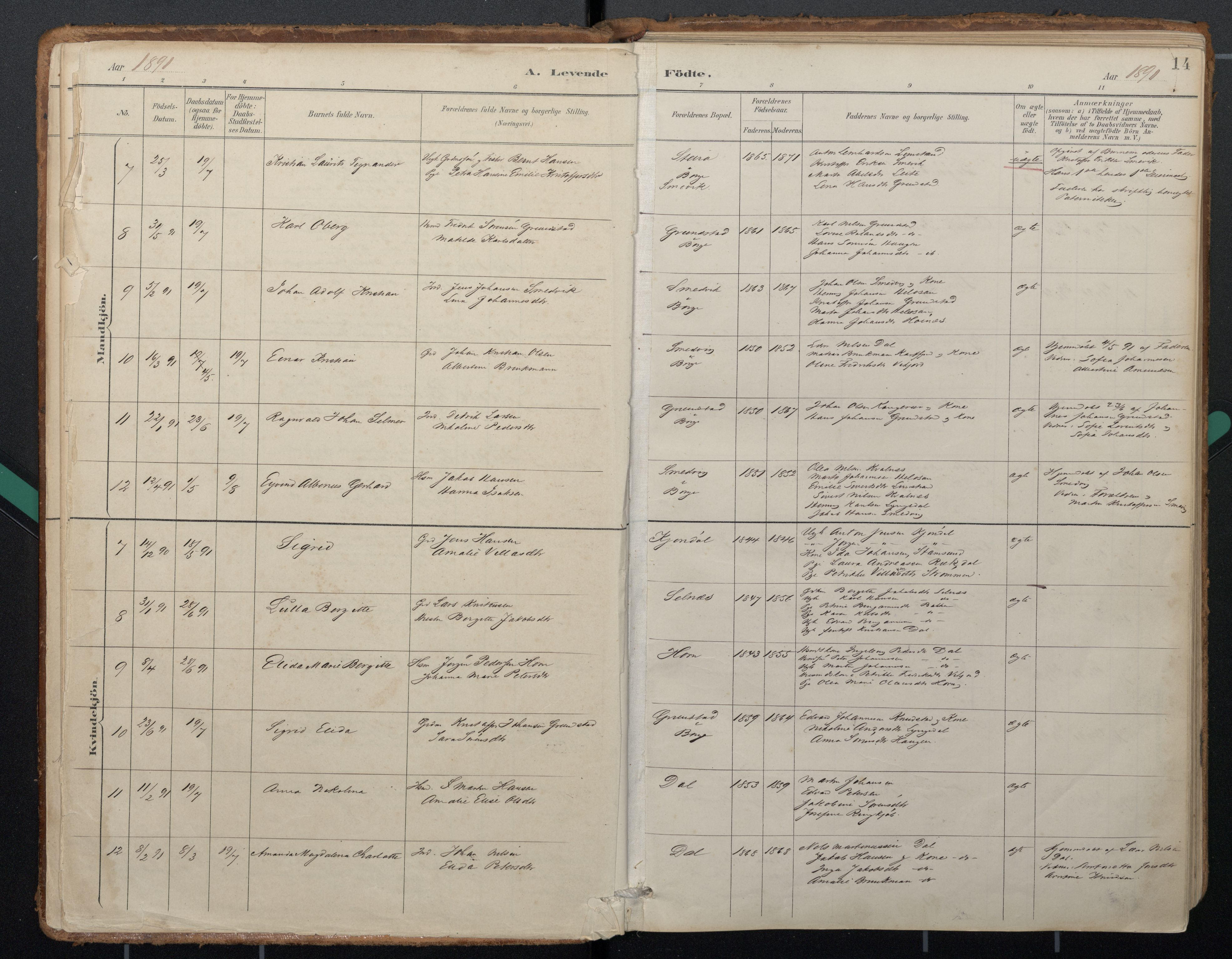 Ministerialprotokoller, klokkerbøker og fødselsregistre - Nordland, SAT/A-1459/884/L1193: Parish register (official) no. 884A01, 1888-1905, p. 14