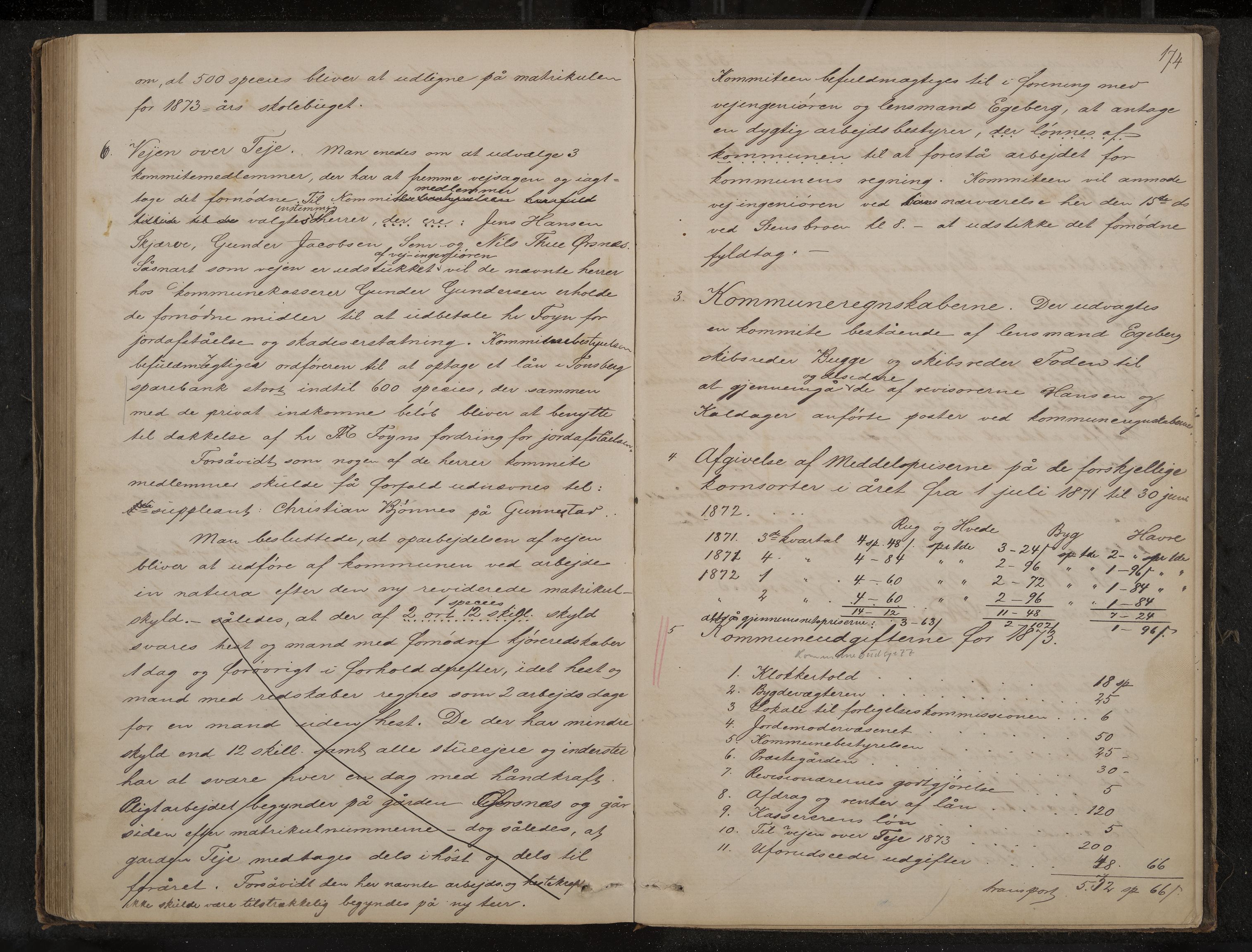 Nøtterøy formannskap og sentraladministrasjon, IKAK/0722021-1/A/Aa/L0002: Møtebok, 1862-1873, p. 174