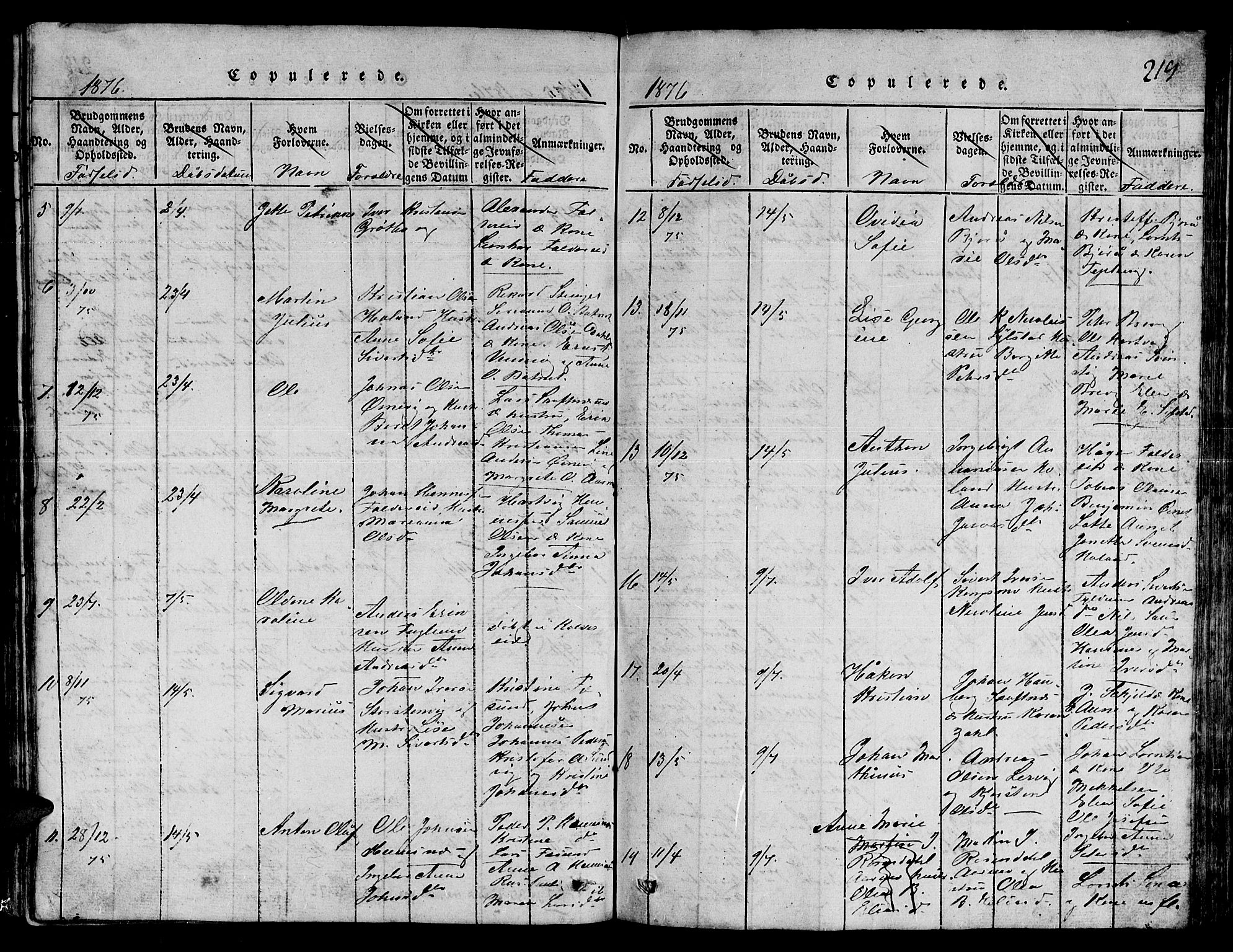 Ministerialprotokoller, klokkerbøker og fødselsregistre - Nord-Trøndelag, SAT/A-1458/780/L0648: Parish register (copy) no. 780C01 /3, 1815-1877, p. 219