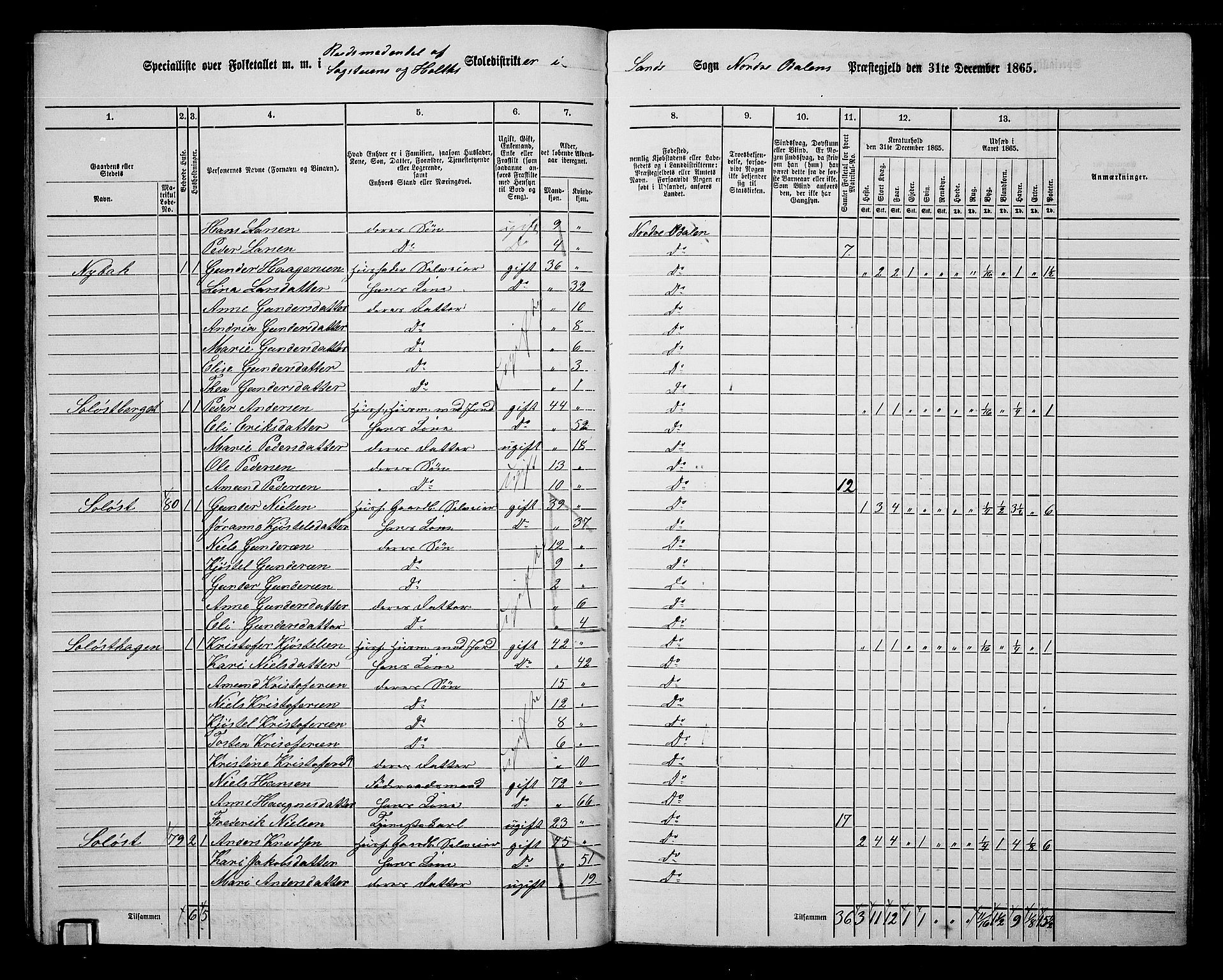 RA, 1865 census for Nord-Odal, 1865, p. 33