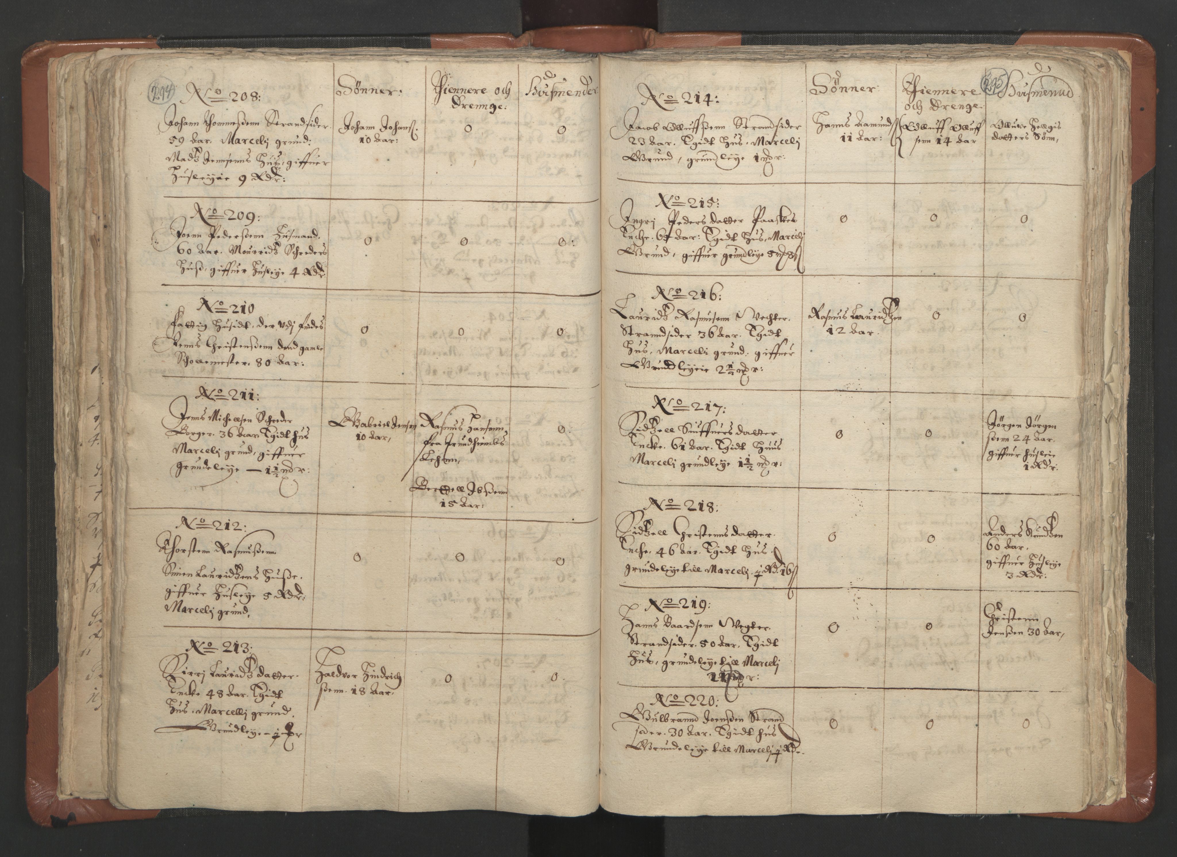 RA, Vicar's Census 1664-1666, no. 9: Bragernes deanery, 1664-1666, p. 294-295