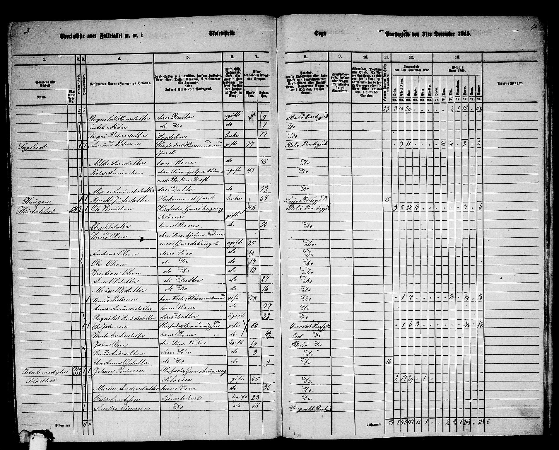 RA, 1865 census for Bolsøy, 1865, p. 112