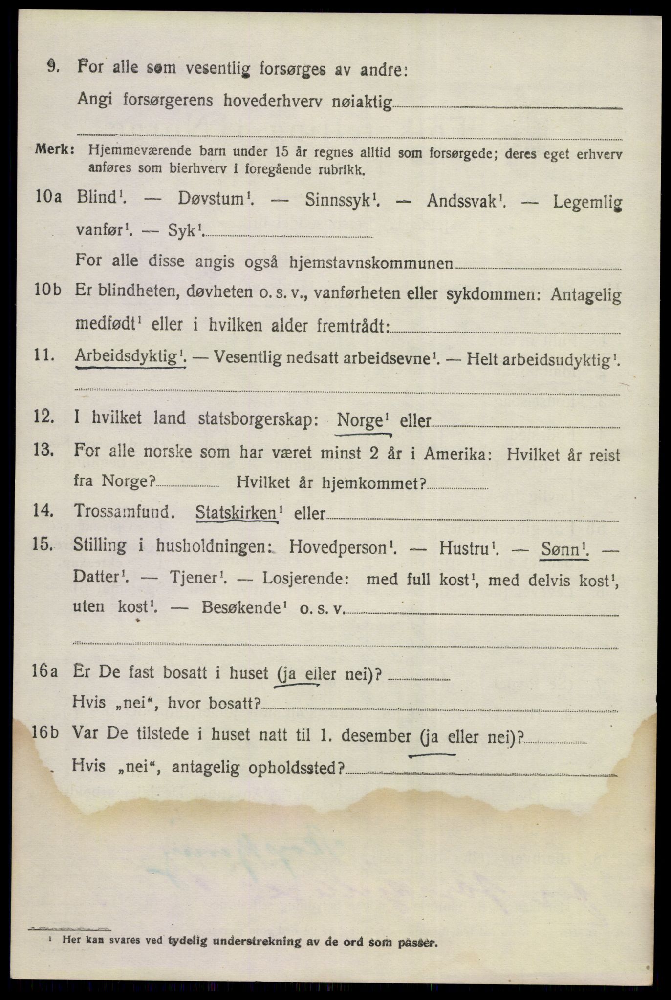 SAKO, 1920 census for Nes (Buskerud), 1920, p. 1611