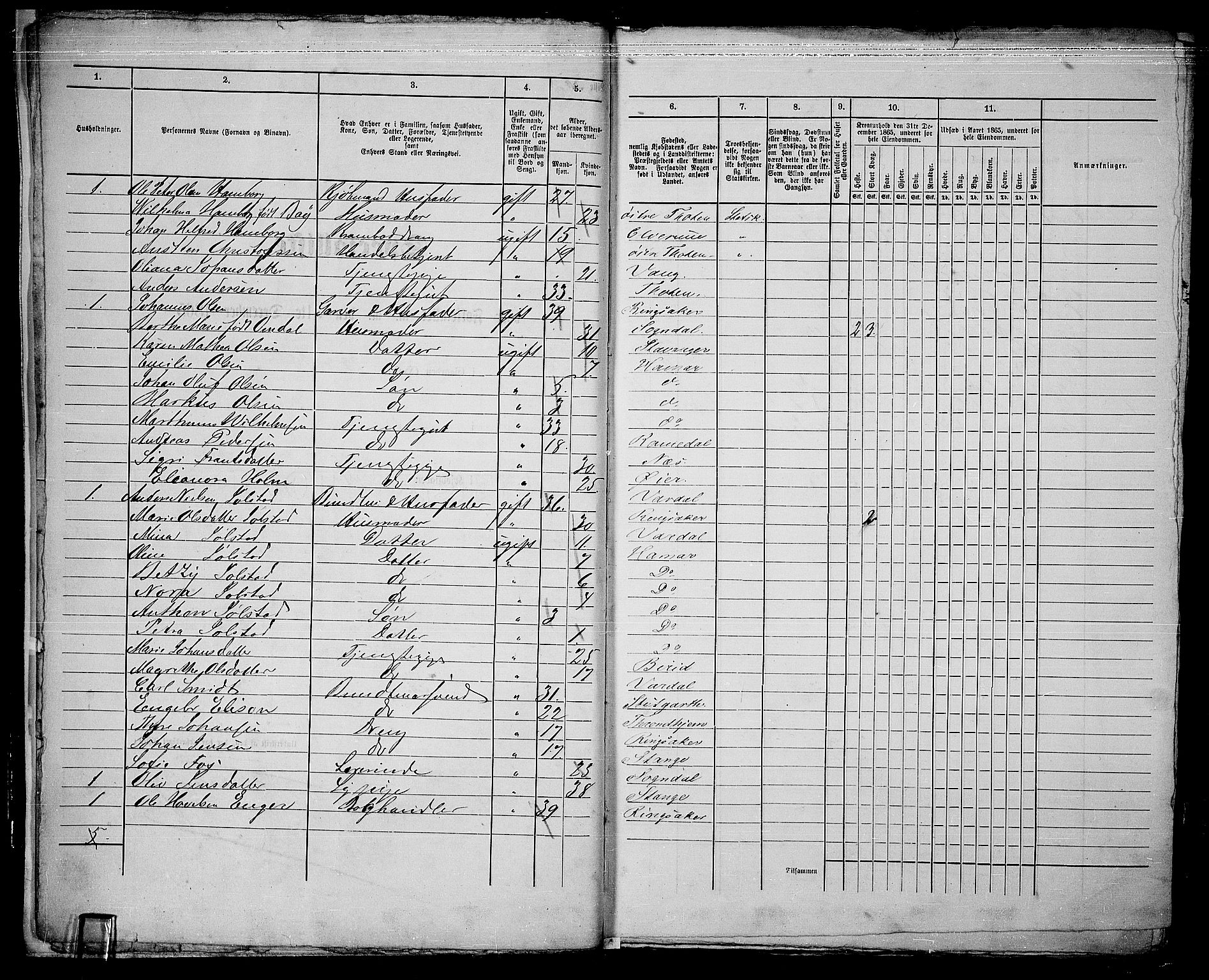 RA, 1865 census for Vang/Hamar, 1865, p. 10