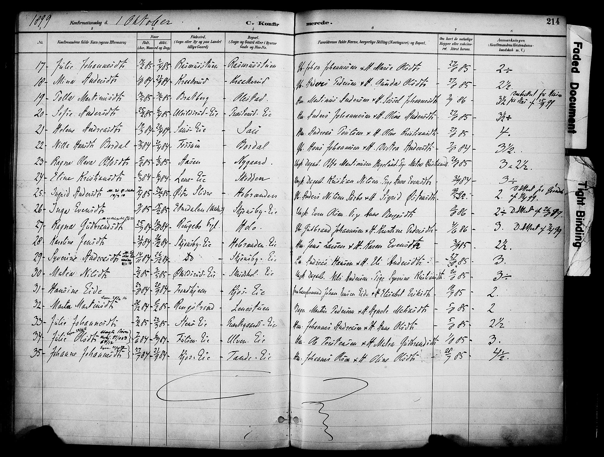 Ringsaker prestekontor, AV/SAH-PREST-014/K/Ka/L0017: Parish register (official) no. 17, 1891-1902, p. 214