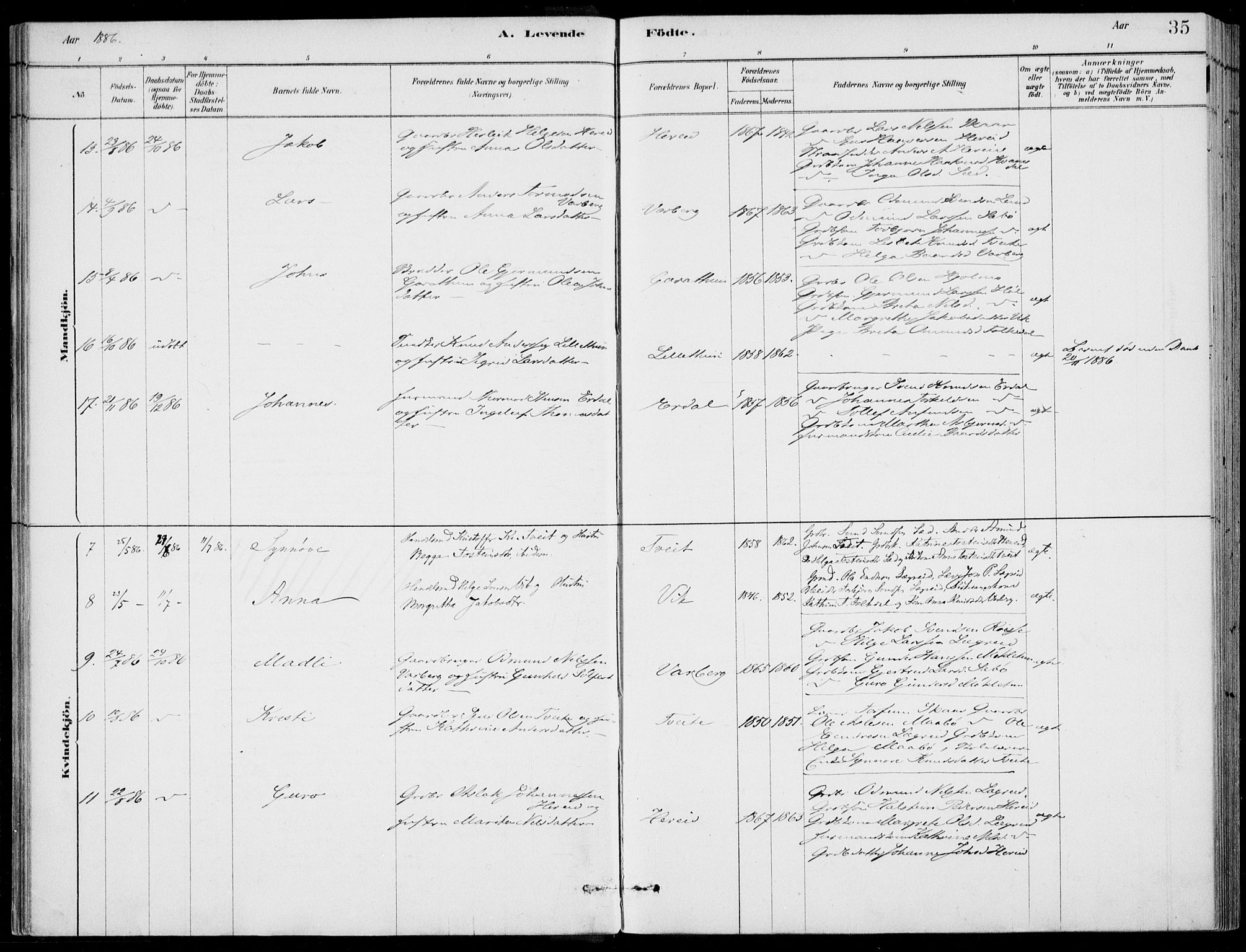 Ulvik sokneprestembete, SAB/A-78801/H/Haa: Parish register (official) no. D  1, 1878-1903, p. 35