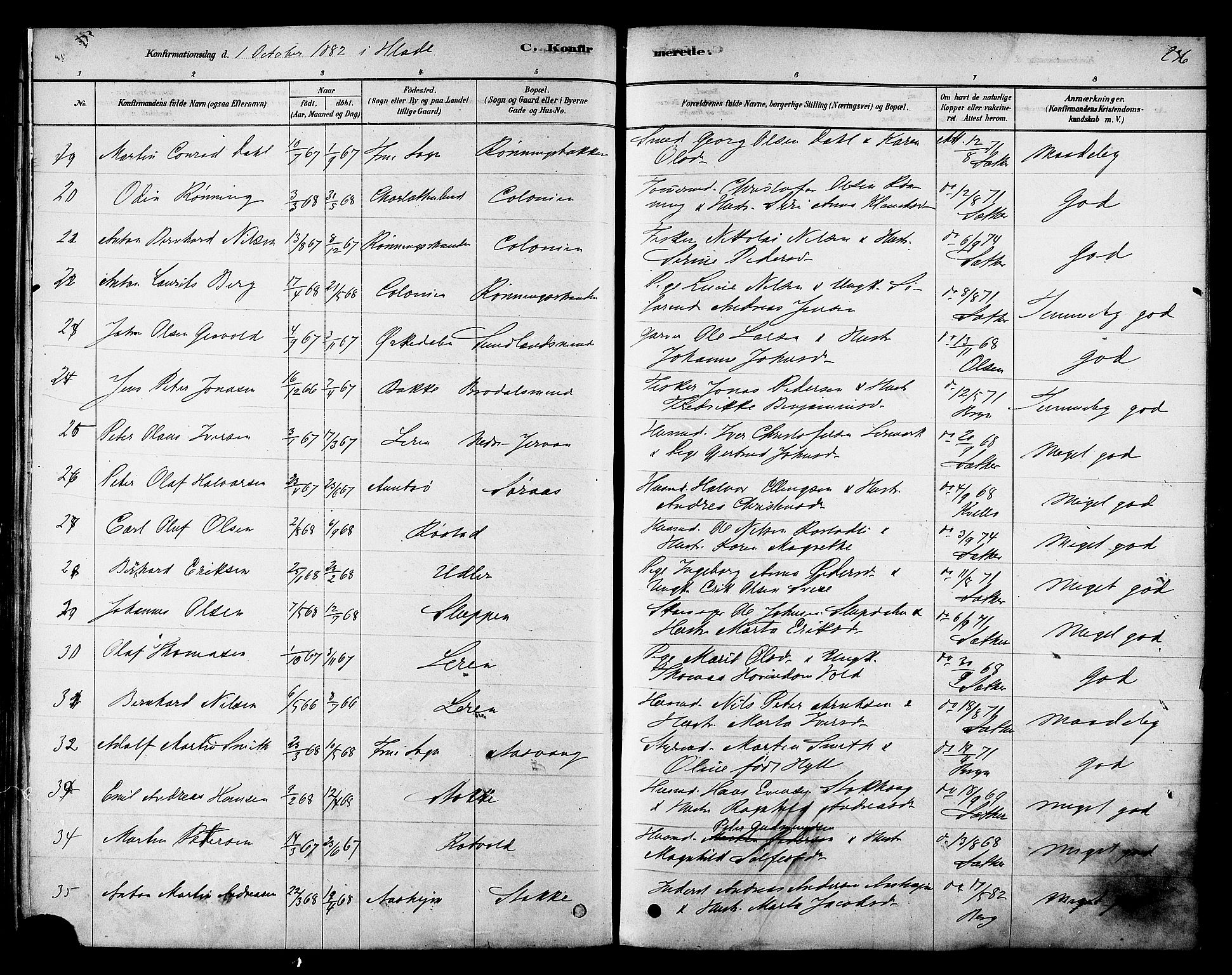 Ministerialprotokoller, klokkerbøker og fødselsregistre - Sør-Trøndelag, AV/SAT-A-1456/606/L0294: Parish register (official) no. 606A09, 1878-1886, p. 236