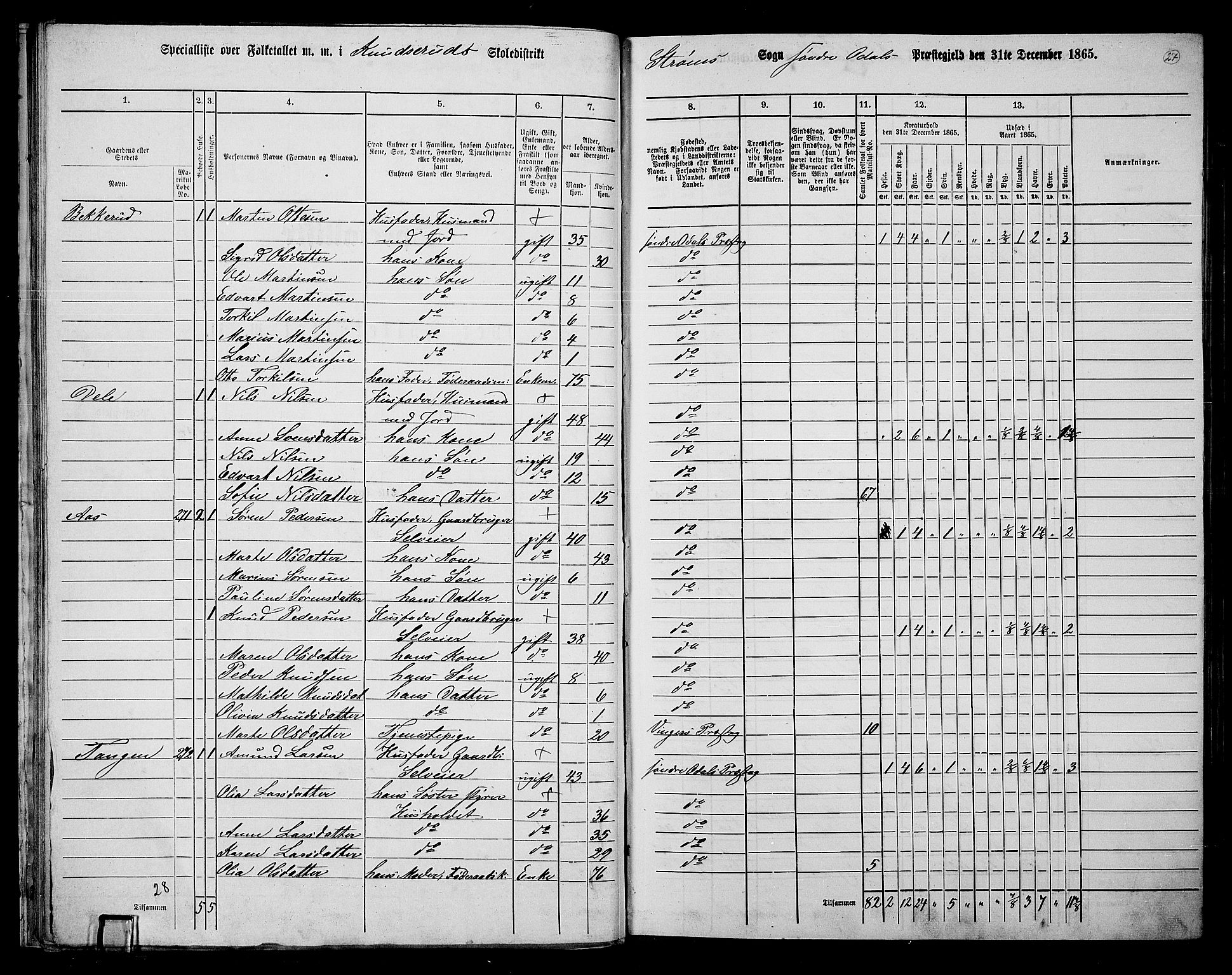 RA, 1865 census for Sør-Odal, 1865, p. 25