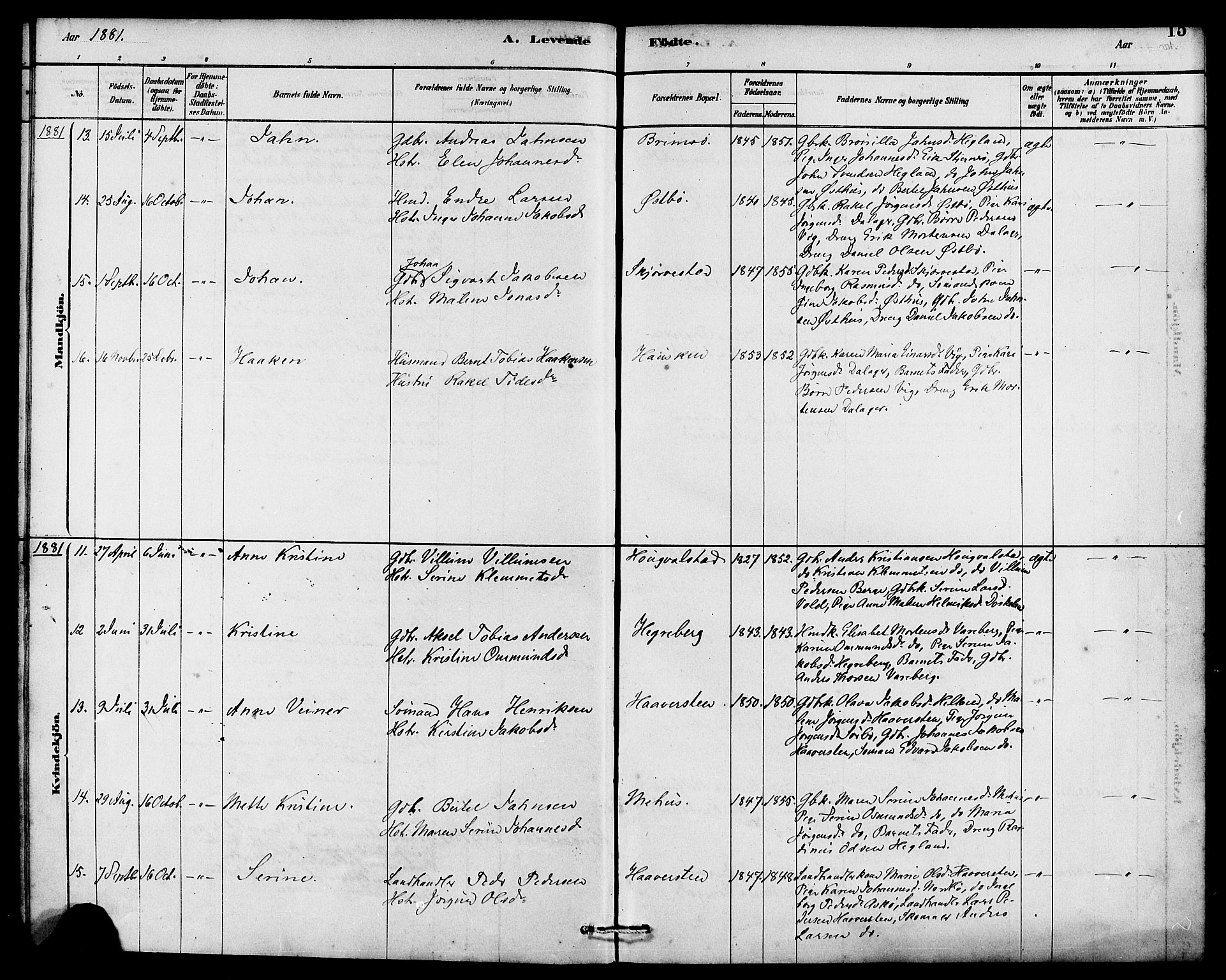 Rennesøy sokneprestkontor, AV/SAST-A -101827/H/Ha/Haa/L0007: Parish register (official) no. A 7, 1878-1884, p. 15