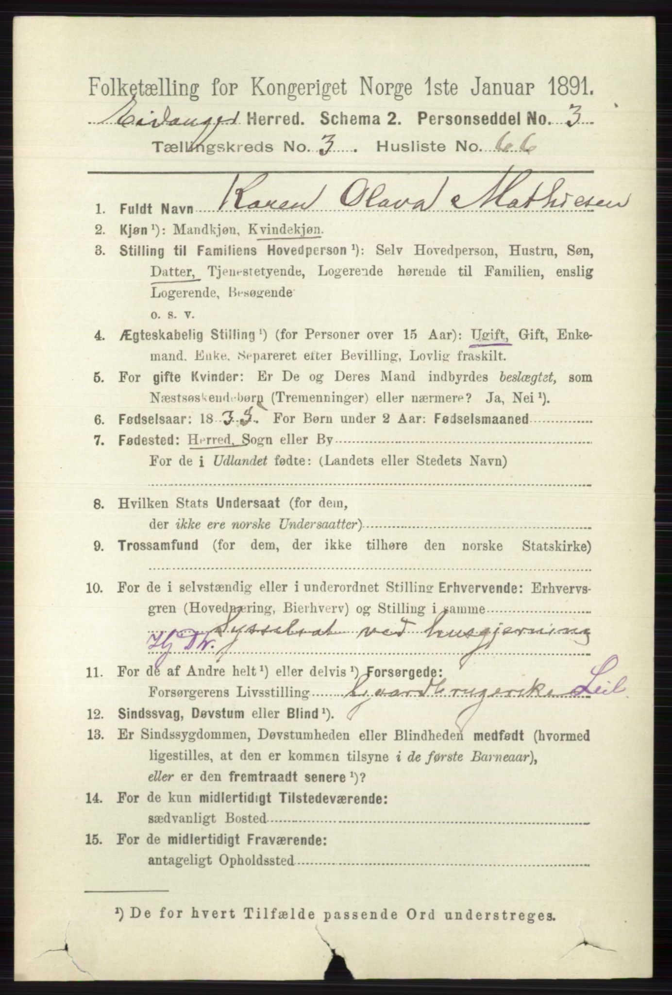 RA, 1891 census for 0813 Eidanger, 1891, p. 1891