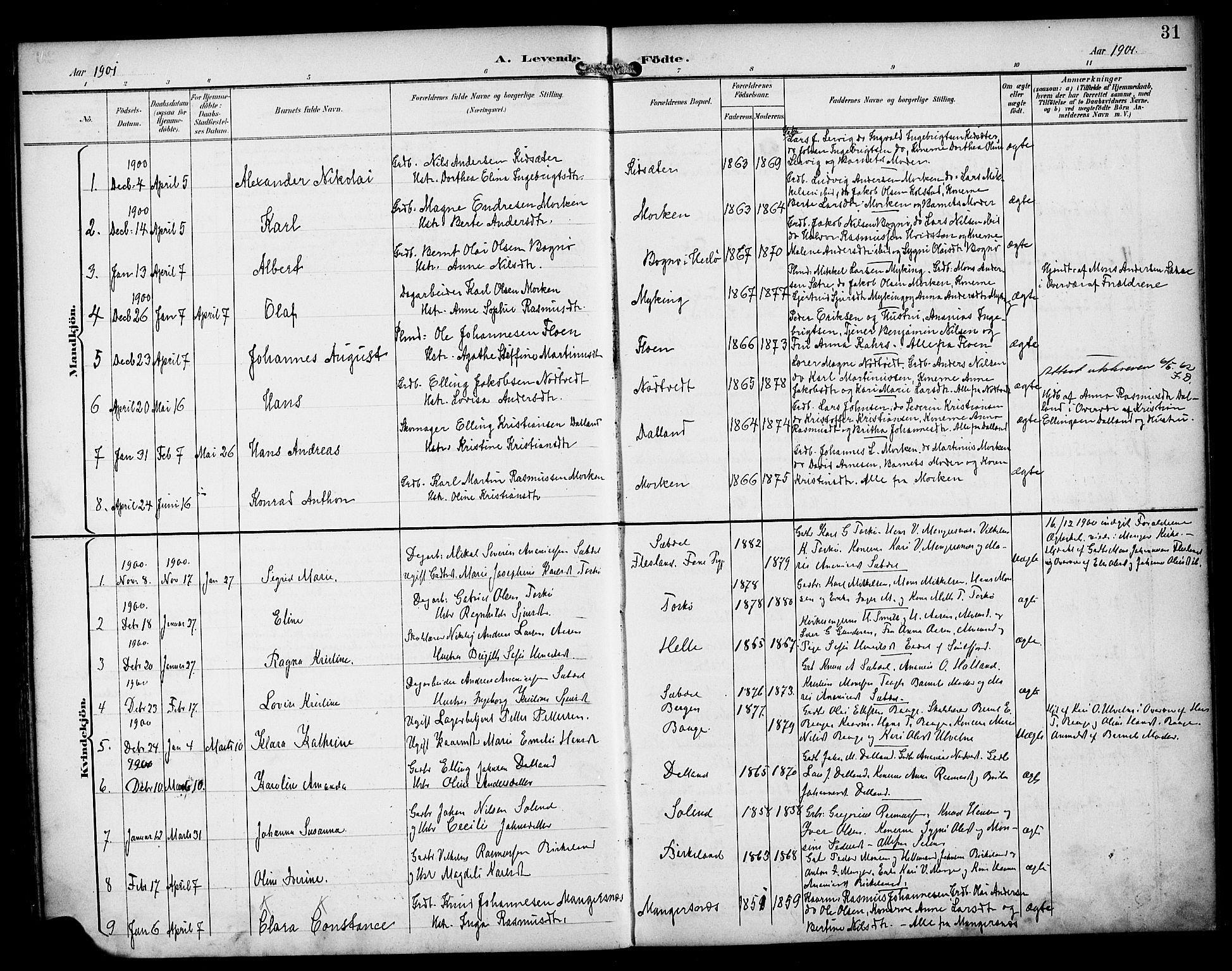 Manger sokneprestembete, AV/SAB-A-76801/H/Haa: Parish register (official) no. B 2, 1893-1906, p. 31