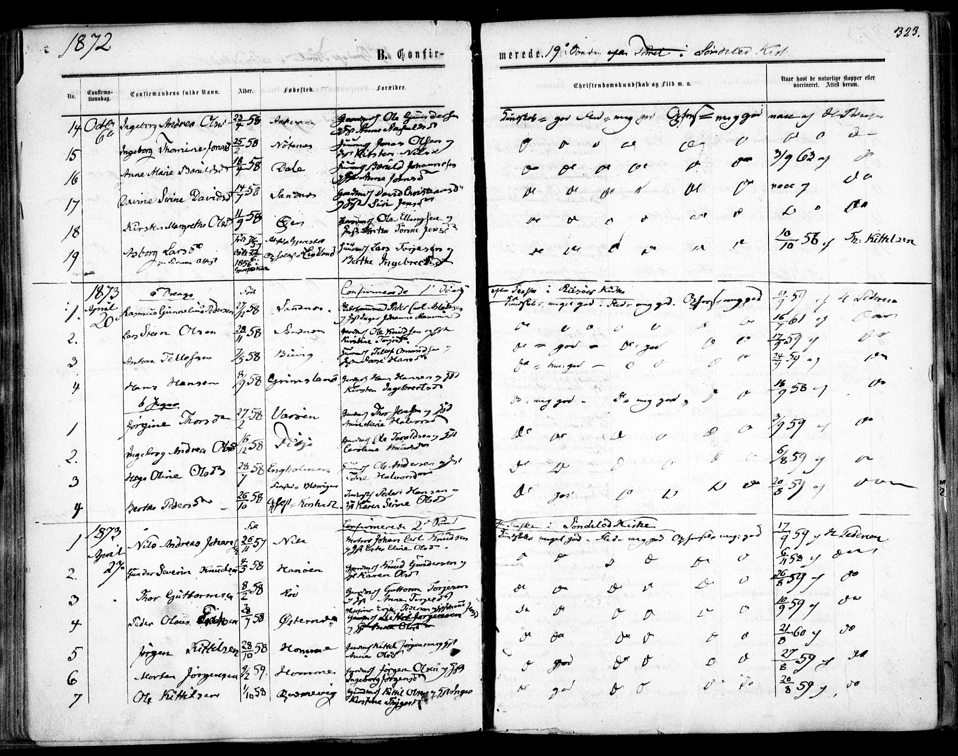 Søndeled sokneprestkontor, AV/SAK-1111-0038/F/Fa/L0003: Parish register (official) no. A 3, 1861-1879, p. 323